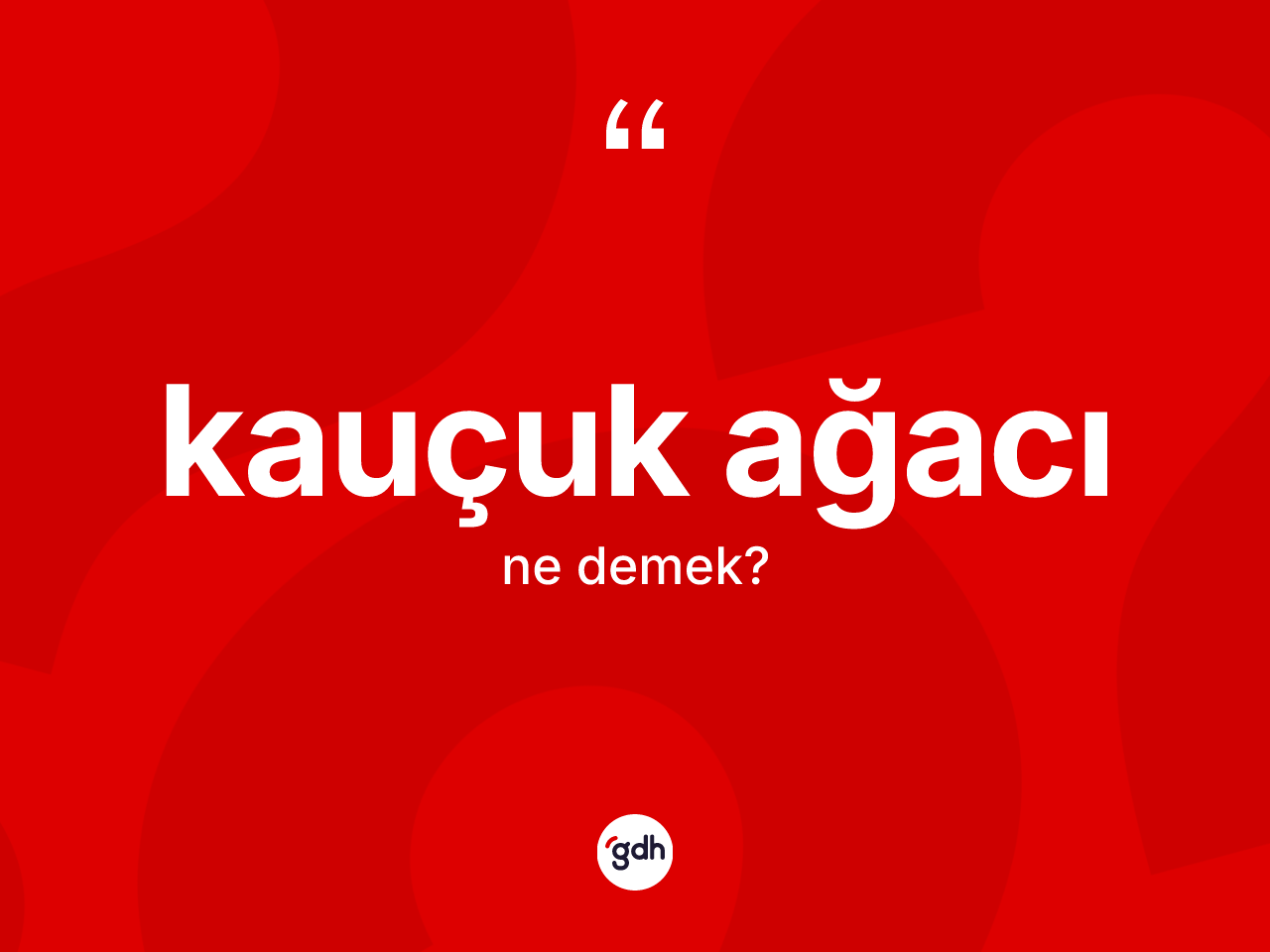 Kauçuk ağacı kelimesi ne anlama gelir? Kauçuk ağacının TDK'ya göre anlamı nedir?