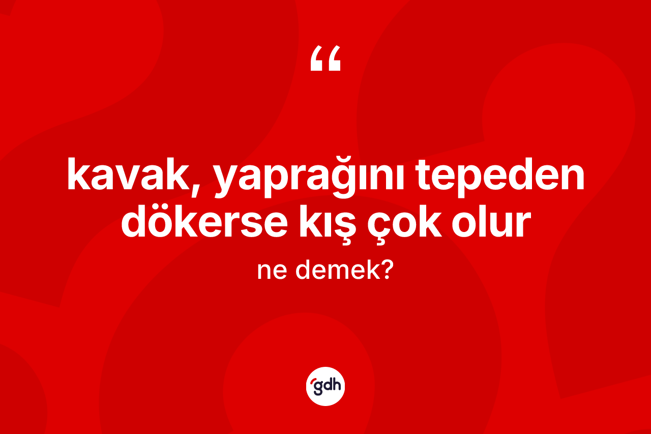 Kavak, yaprağını tepeden dökerse kış çok olur ifadesi ne demek? Kavak, yaprağını tepeden dökerse kış çok olur ifadesi nerede kullanılır?