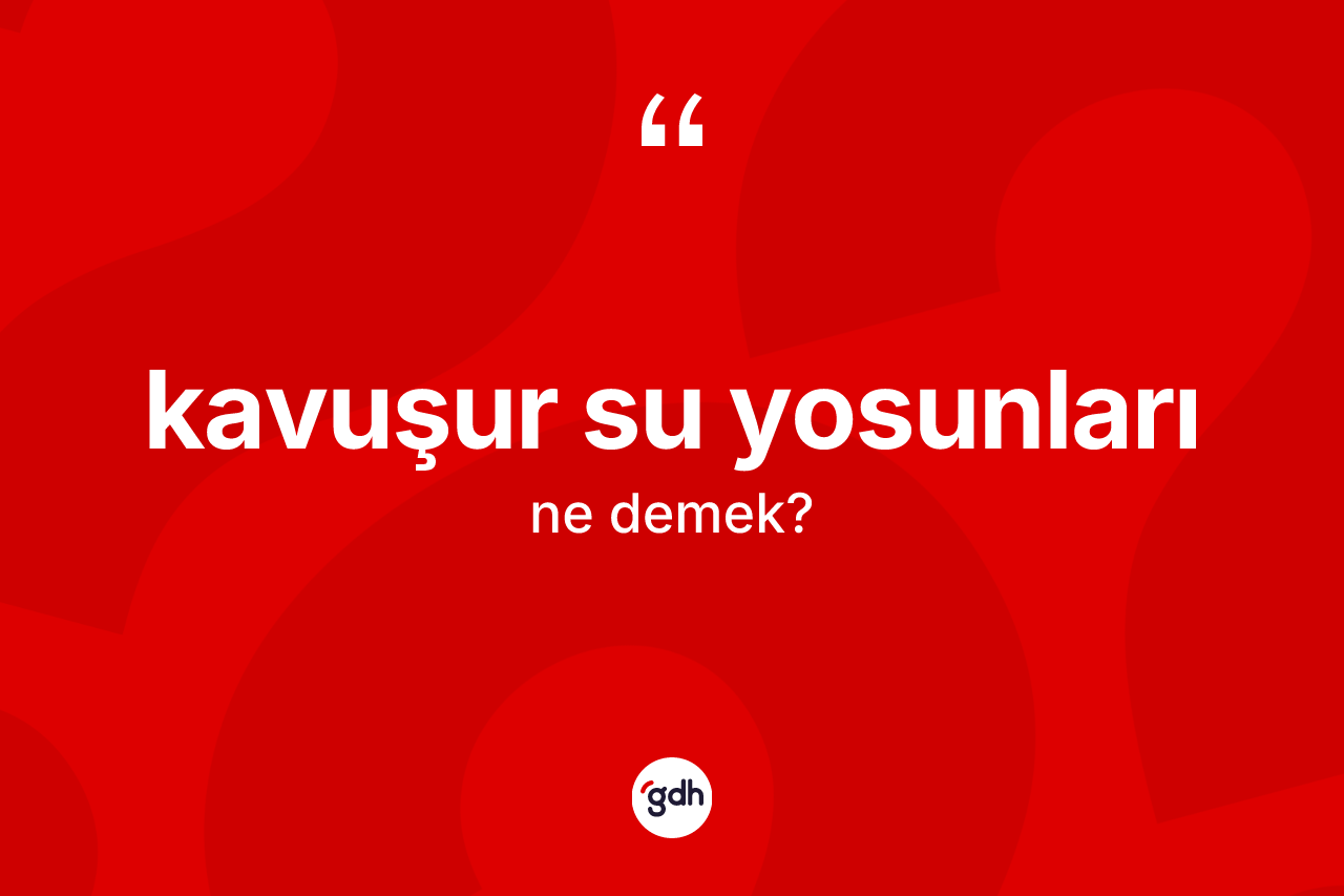Kavuşur su yosunları kelimesi nedir?