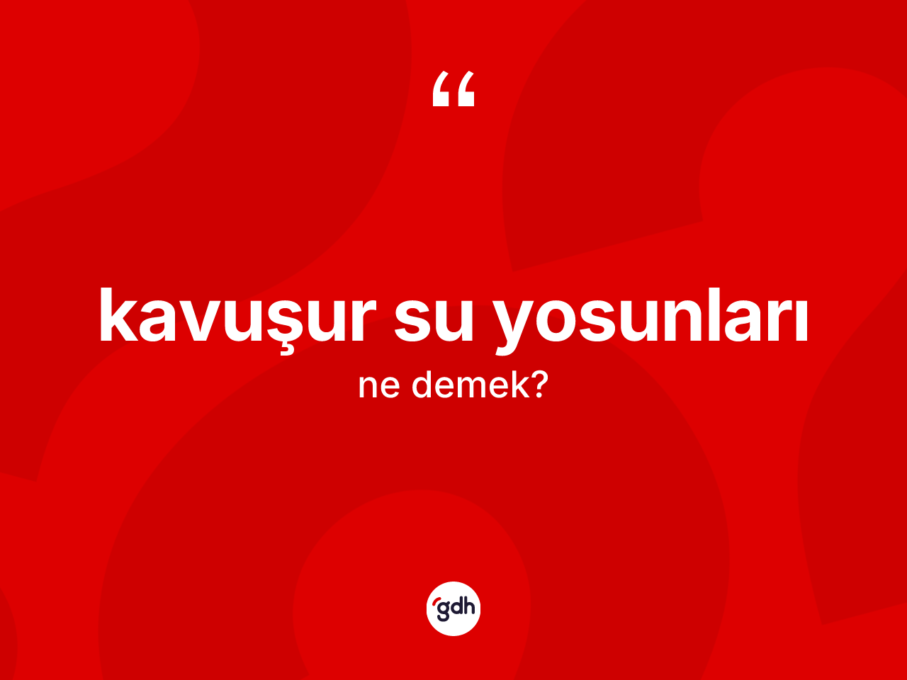 Kavuşur su yosunları kelimesi nedir? Kavuşur su yosunları kelimesinin TDK'ya göre açıklaması nedir?