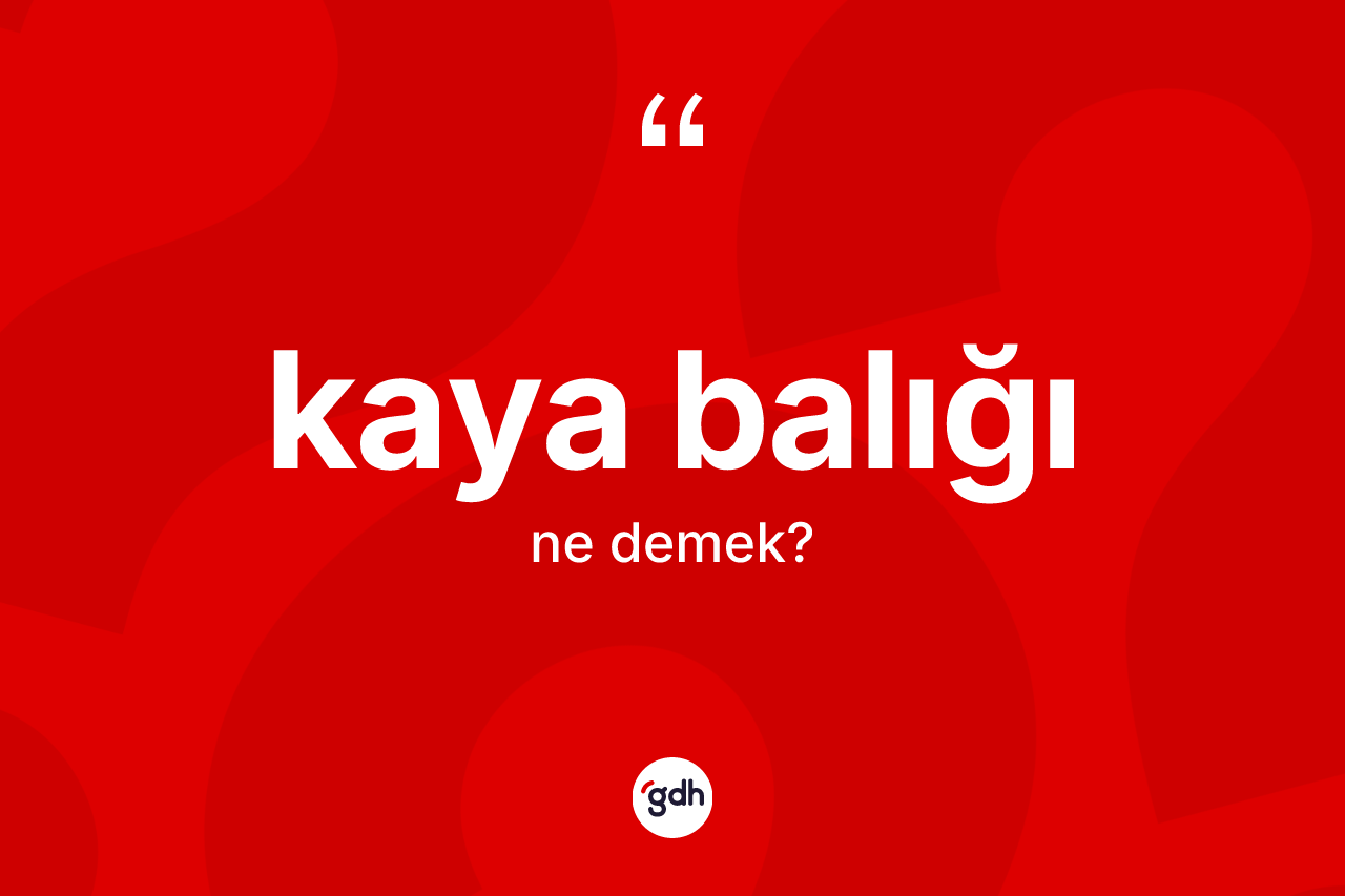 Kaya balığı kelimesinin sözlükteki tanımı nedir? Kaya balığının TDK'ya göre anlamı nedir?