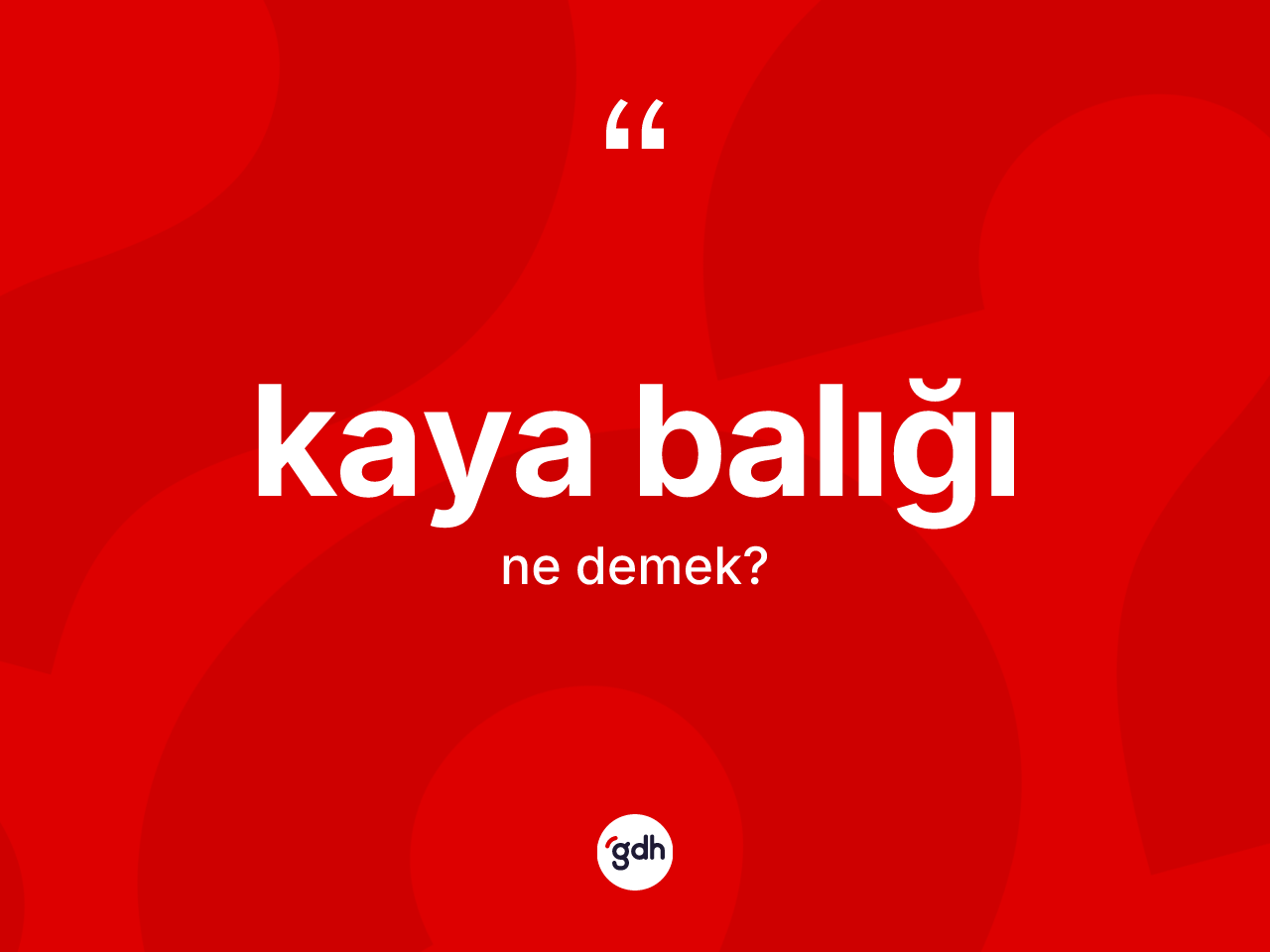 Kaya balığı kelimesinin sözlükteki tanımı nedir? Kaya balığının TDK'ya göre anlamı nedir?