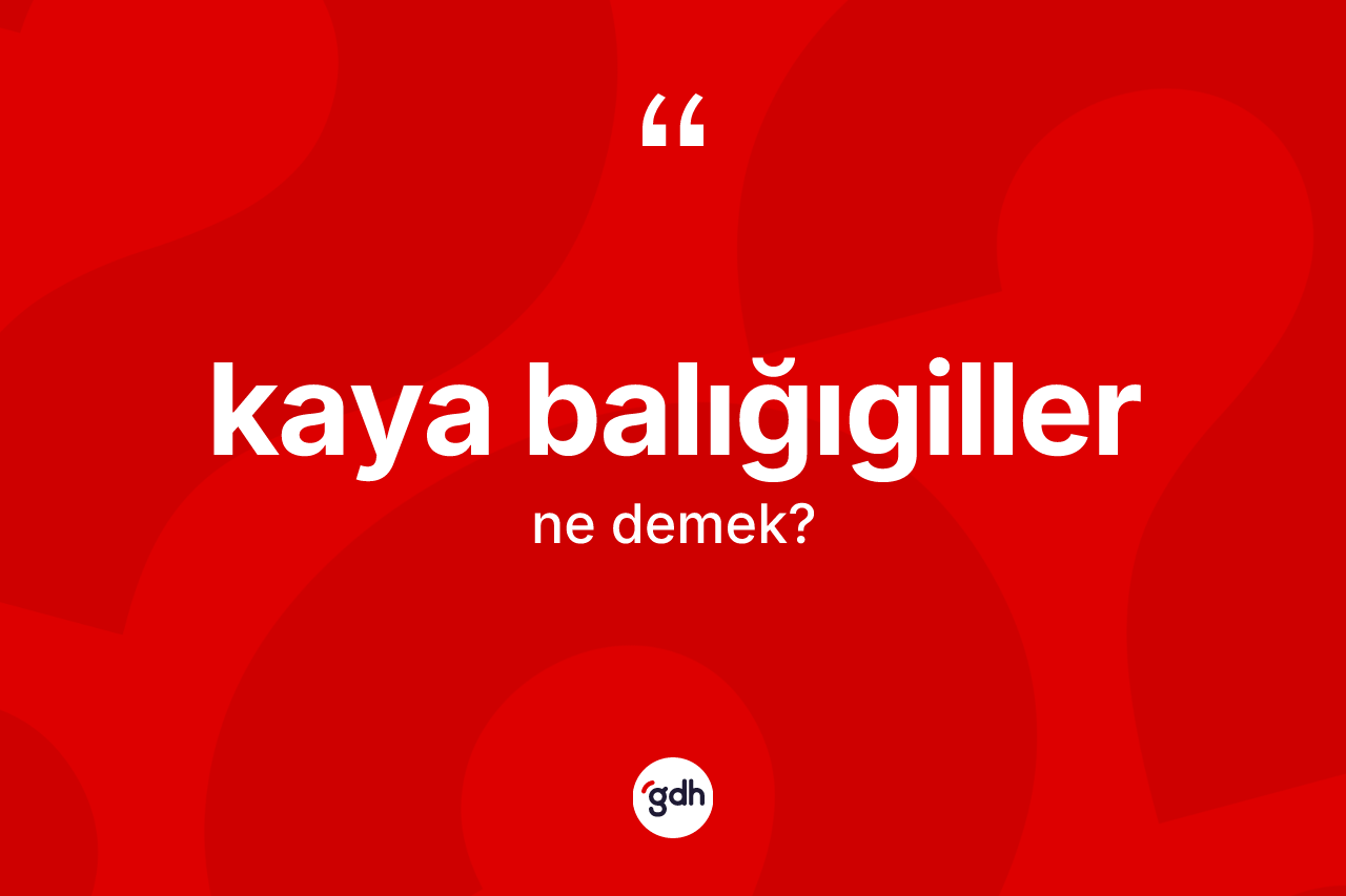 Kaya balığıgiller kelimesinin anlamı nedir? Kaya balığıgillerin TDK'ya göre anlamı nedir?