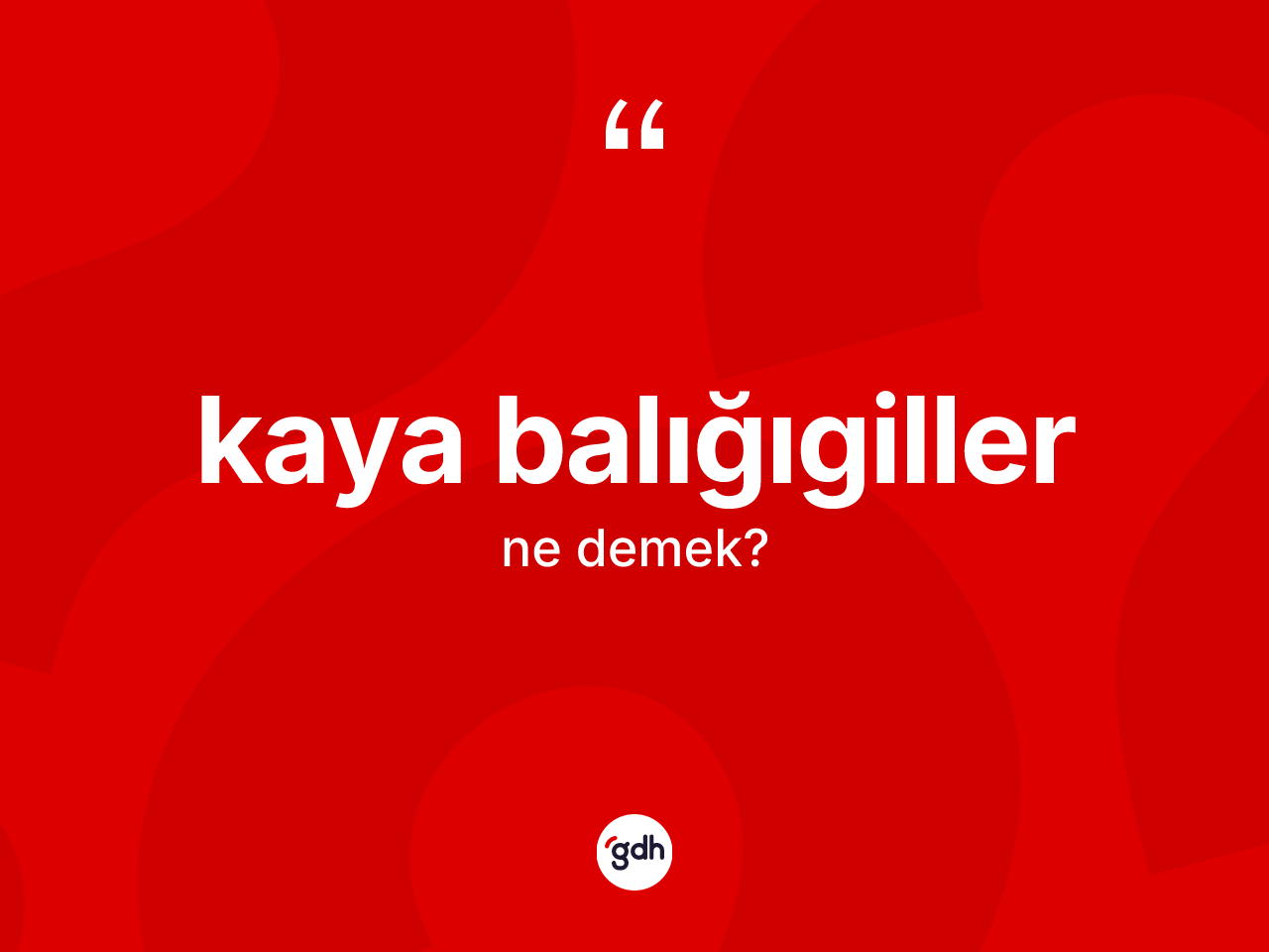 Kaya balığıgiller kelimesinin anlamı nedir? Kaya balığıgillerin TDK'ya göre anlamı nedir?