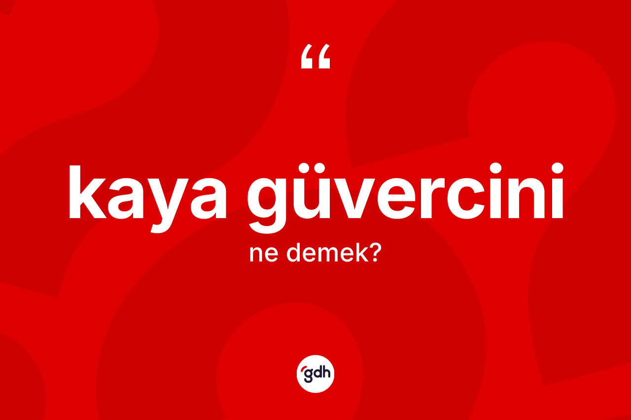 Kaya güvercini ne demek? Kaya güvercininin TDK'ya göre anlamı nedir?