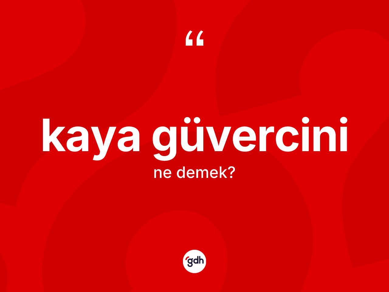 Kaya güvercini ne demek? Kaya güvercininin TDK'ya göre anlamı nedir?
