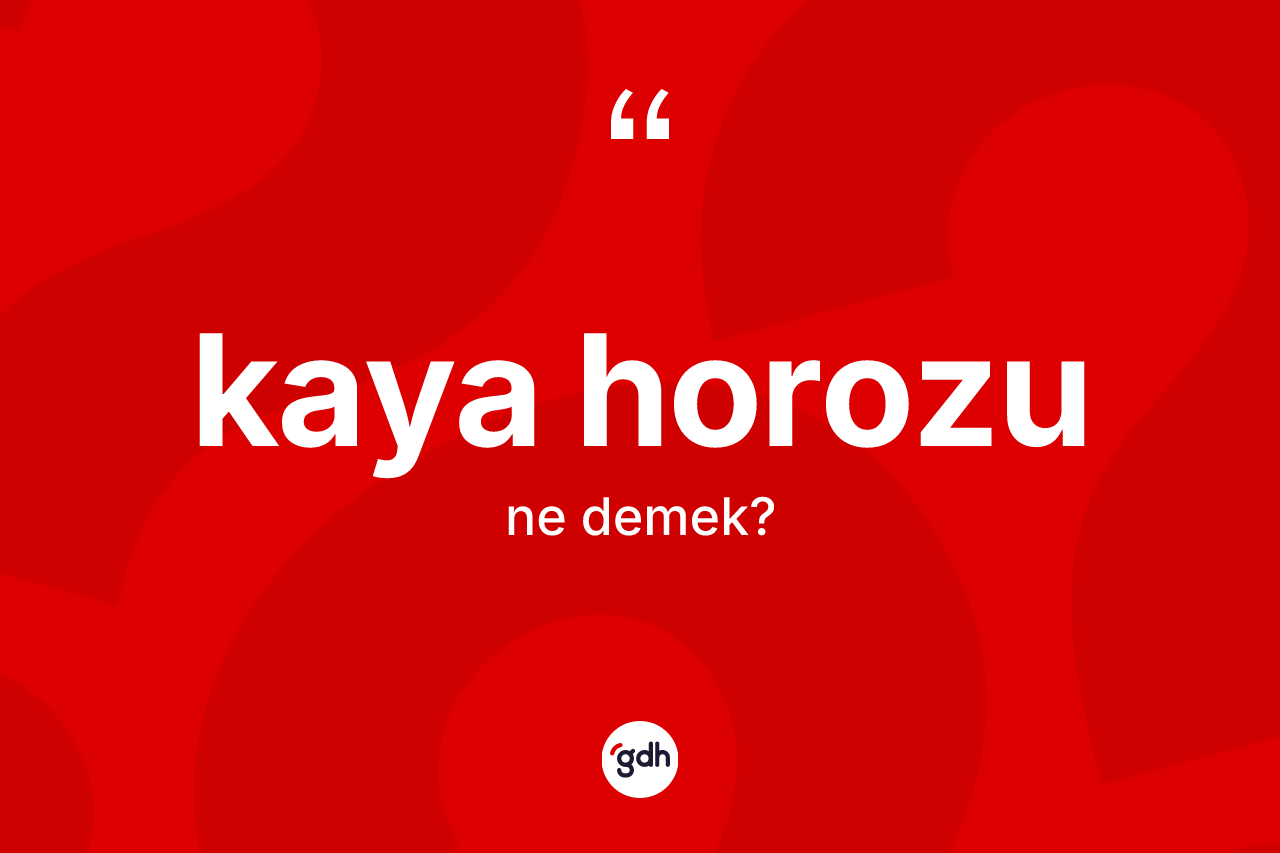 Kaya horozu kelimesi nedir?