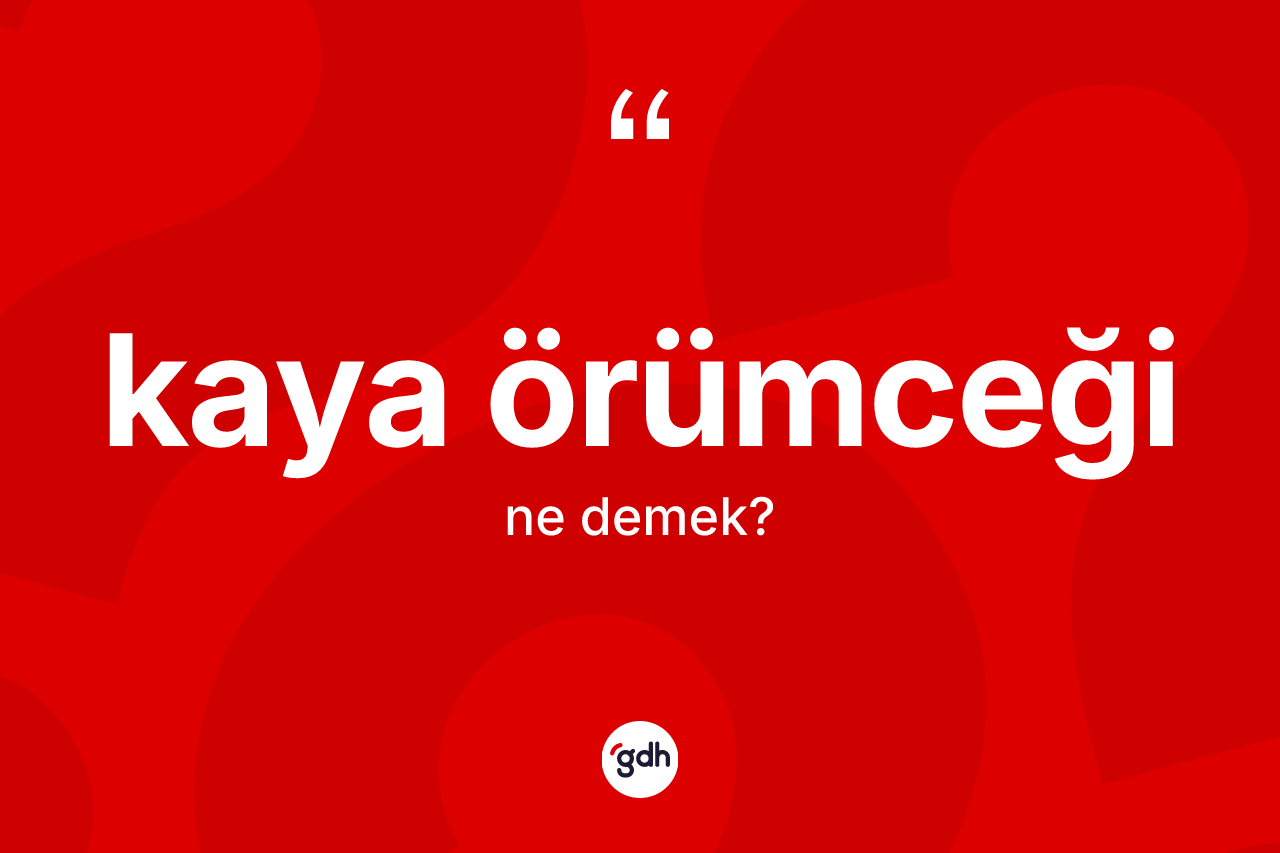 Kaya örümceği kelimesinin sözlükteki tanımı nedir? Kaya örümceğinin halk arasındaki kullanımı nasıldır?