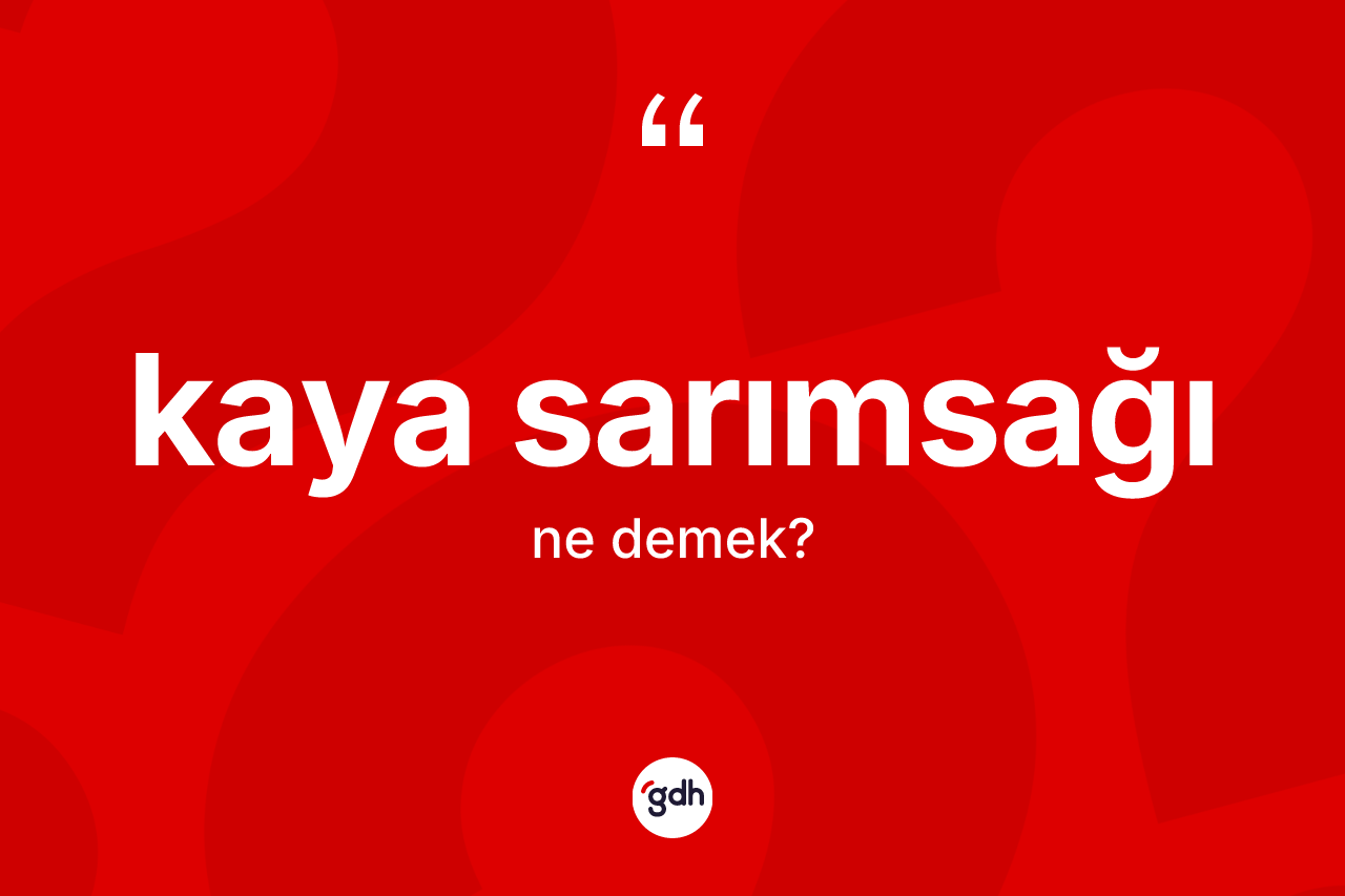 Kaya sarımsağı kelimesinin anlamı nedir? Kaya sarımsağının TDK'ya göre anlamı nedir?