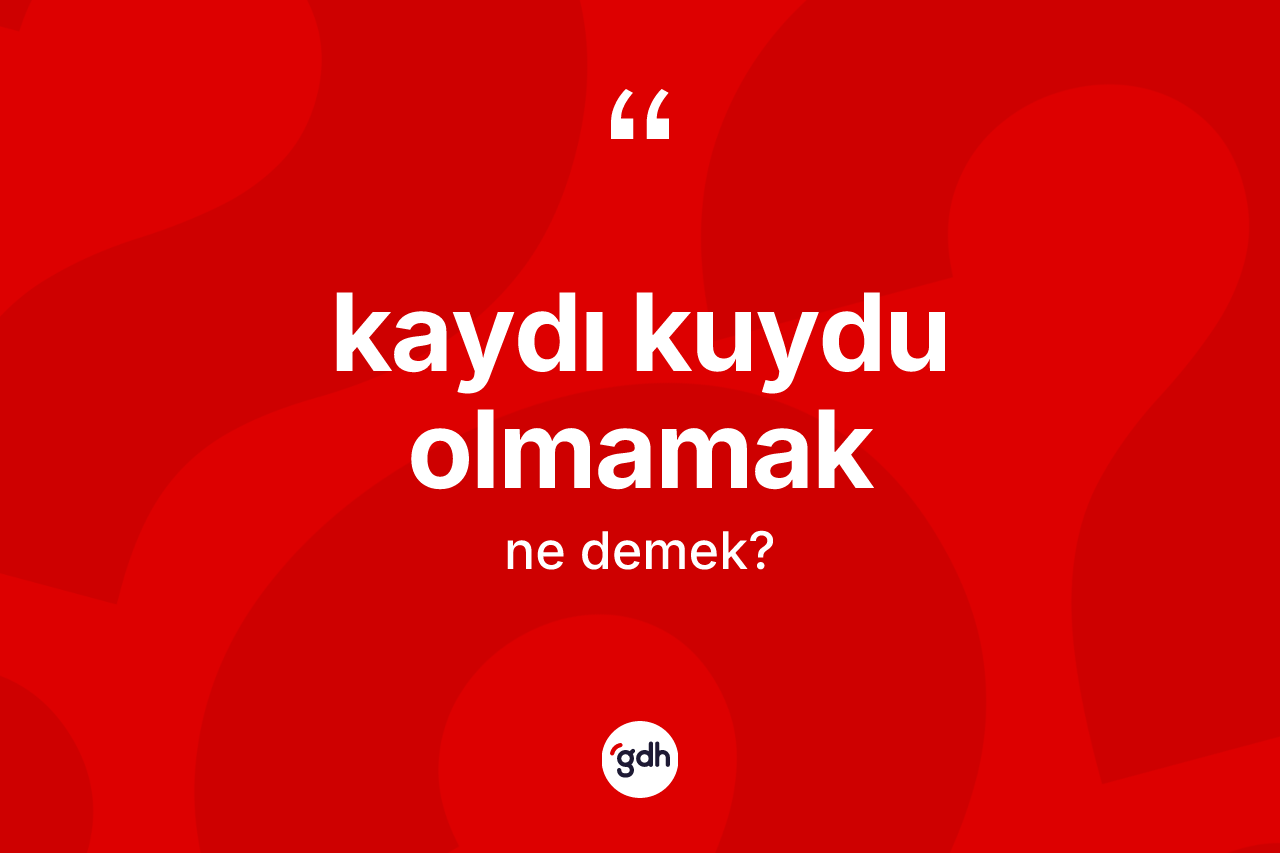 Kaydı kuydu olmamak sözü ne demektir? Kaydı kuydu olmamak ifadesi hangi durumlarda kullanılır
