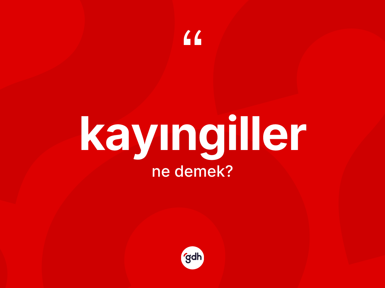 Kayıngiller kelimesinin sözlükteki tanımı nedir? Kayıngiller kelimesinin TDK anlamı nedir?