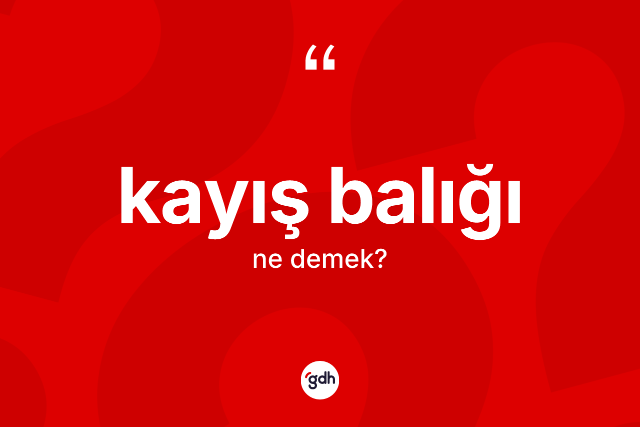 Kayış balığı kelimesi nedir?