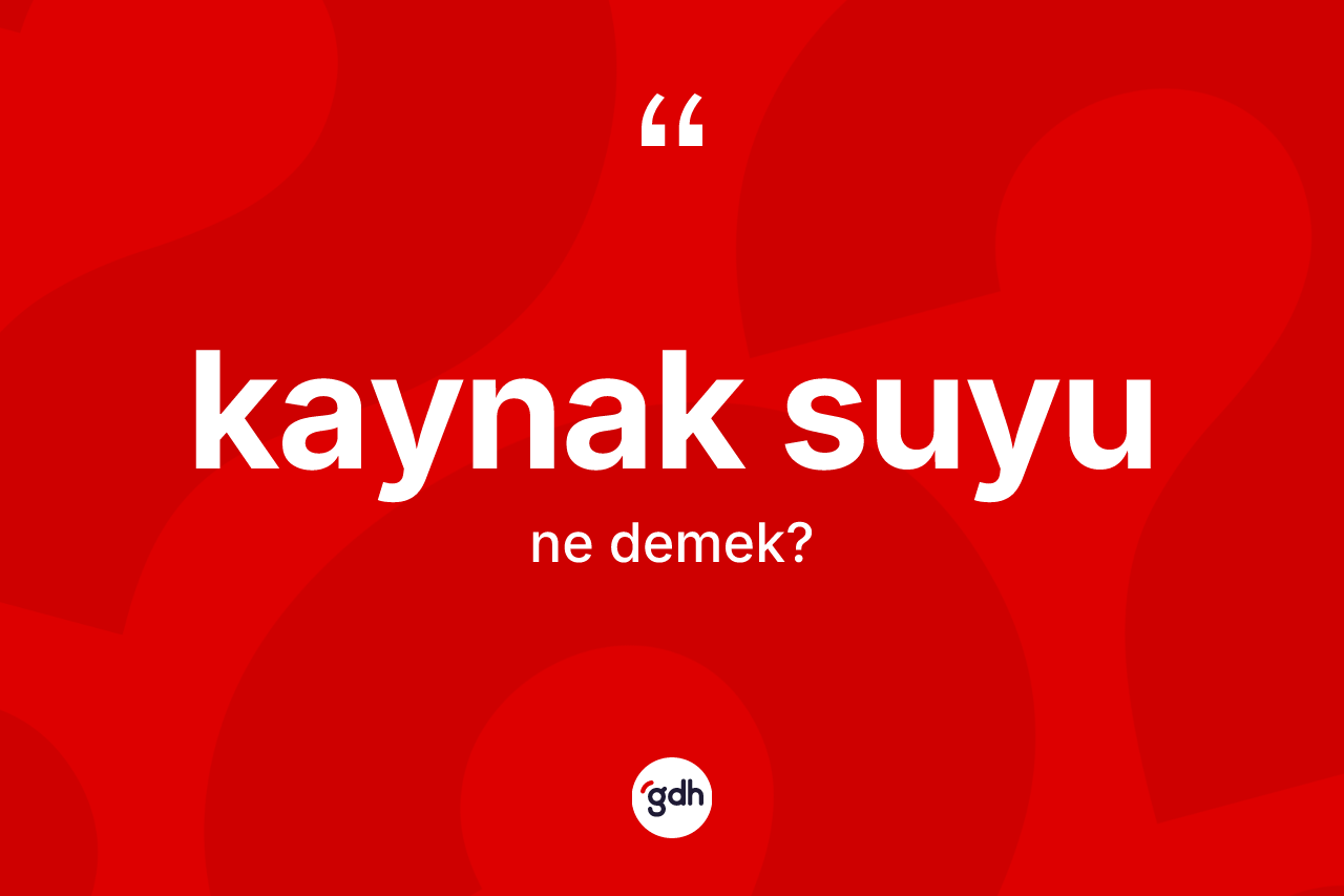 Kaynak suyu kelimesinin tanımı nedir? Kaynak suyu kelimesinin kaç farklı anlamı var?