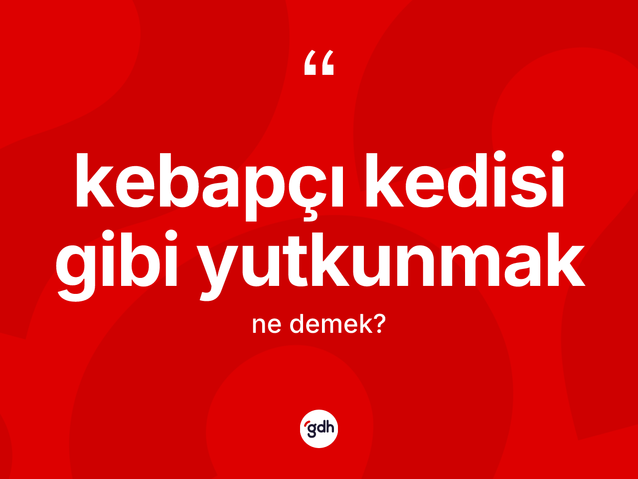 Kebapçı kedisi gibi yutkunmak ne demektir? Kebapçı kedisi gibi yutkunmak ifadesi nerede kullanılır?