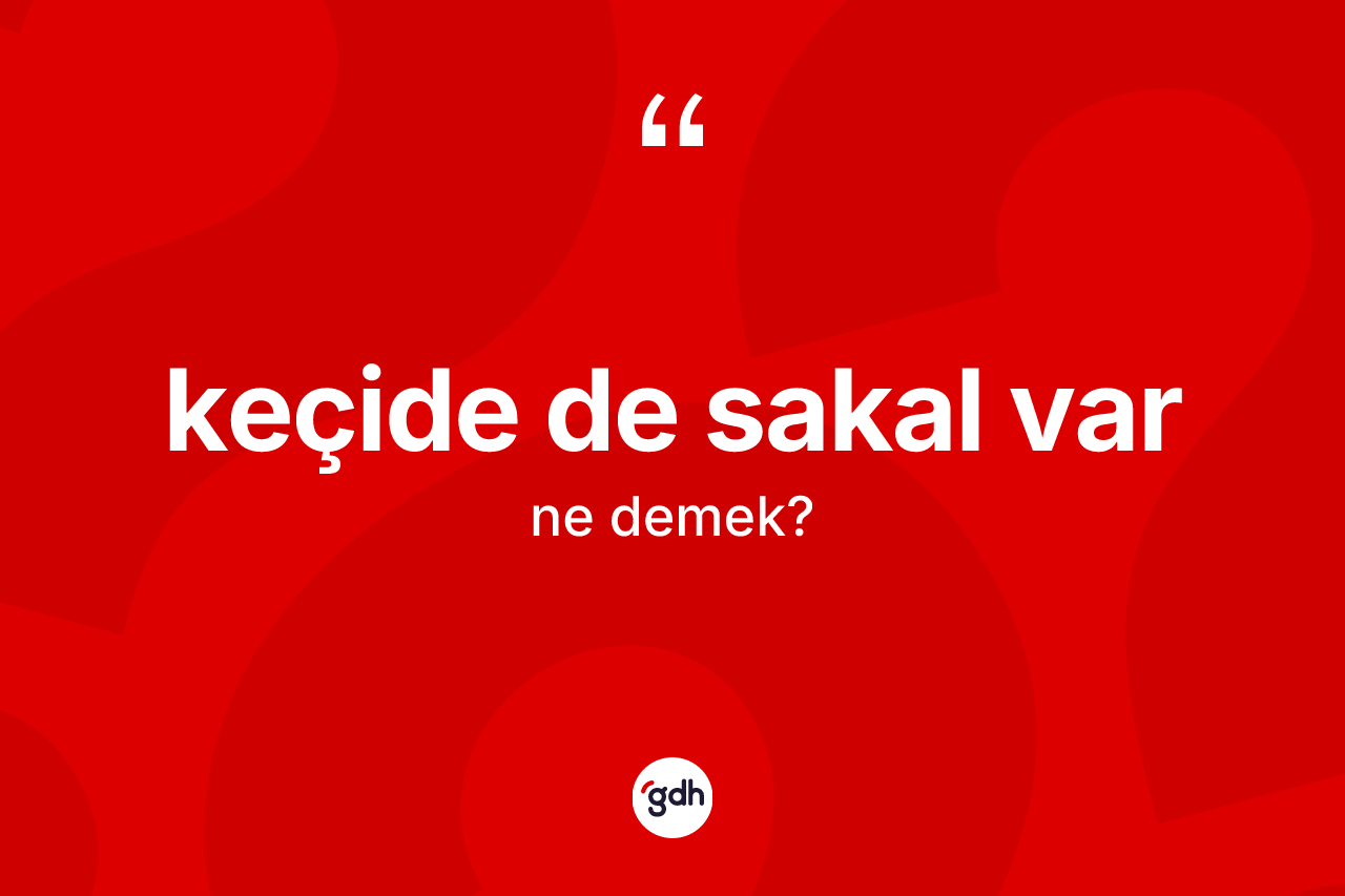 Keçide de sakal var ifadesinin anlamı nedir? Keçide de sakal var ifadesi hangi durumlarda kullanılır