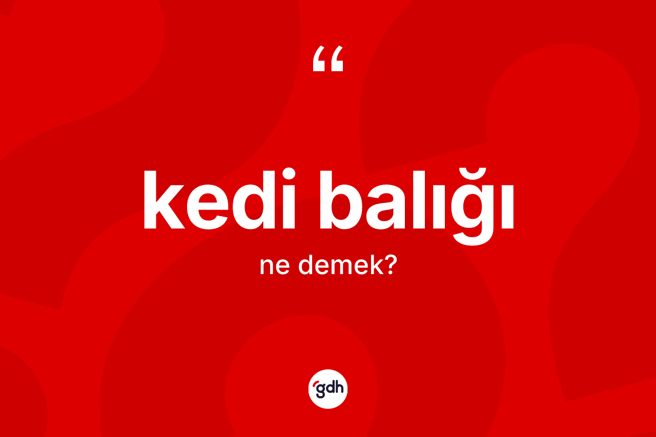 Kedi balığı kelimesi ne anlama gelir?