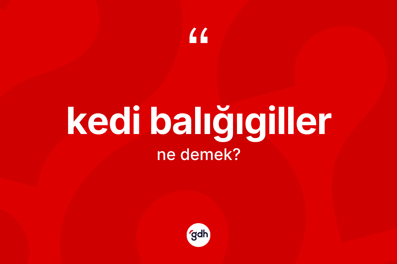 Kedi balığıgiller kelimesinin tanımı nedir? Kedi balığıgillerin TDK'ya göre anlamı nedir?