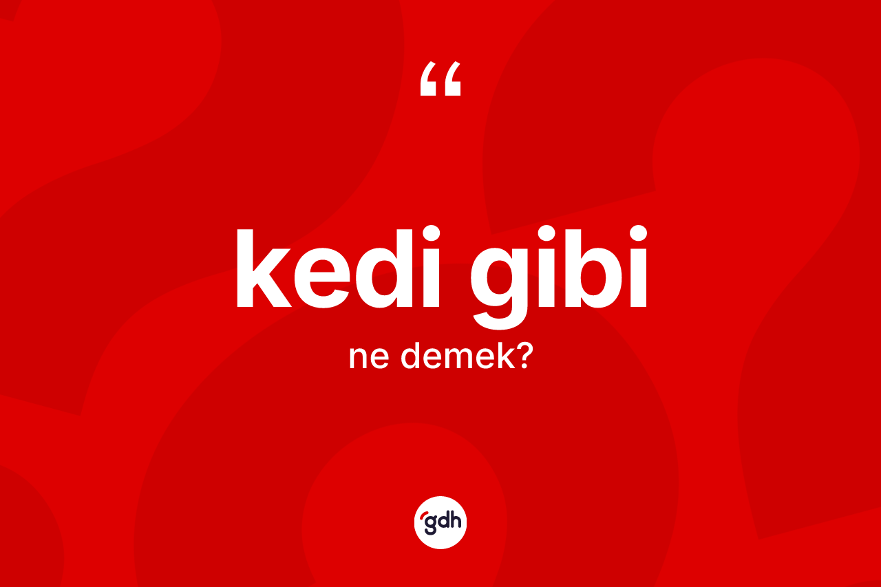 Kedi gibi ifadesi ne demek?