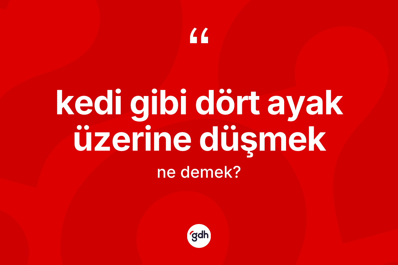 Kedi gibi dört ayak üzerine düşmek ifadesinin tanımı nedir?
