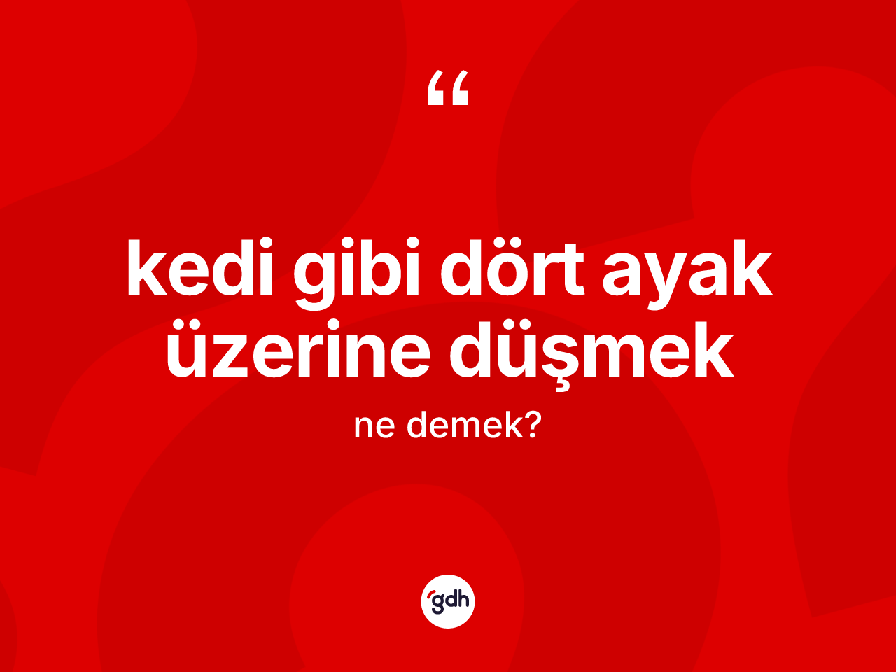 Kedi gibi dört ayak üzerine düşmek ifadesinin tanımı nedir? Kedi gibi dört ayak üzerine düşmek ifadesi nerede kullanılır?