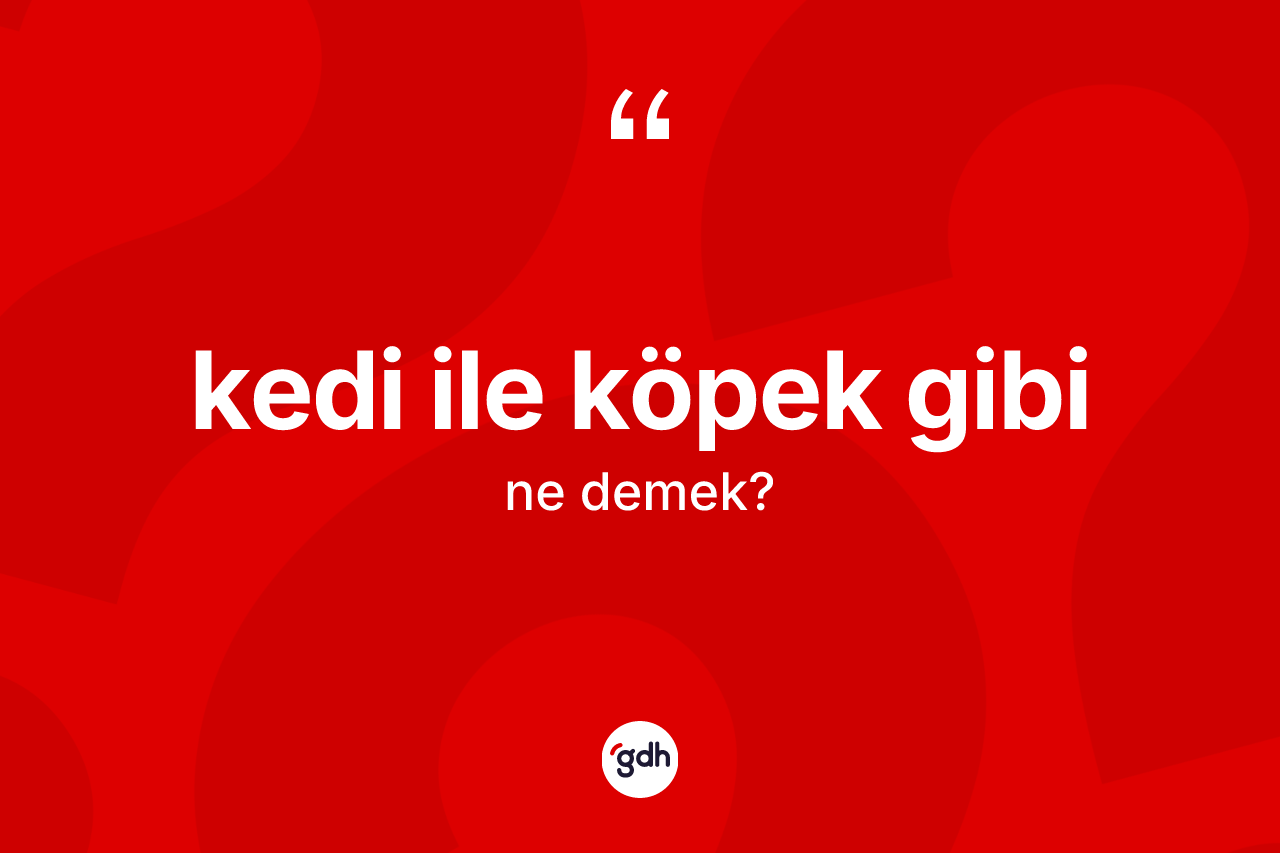 Kedi ile köpek gibi ne demektir?