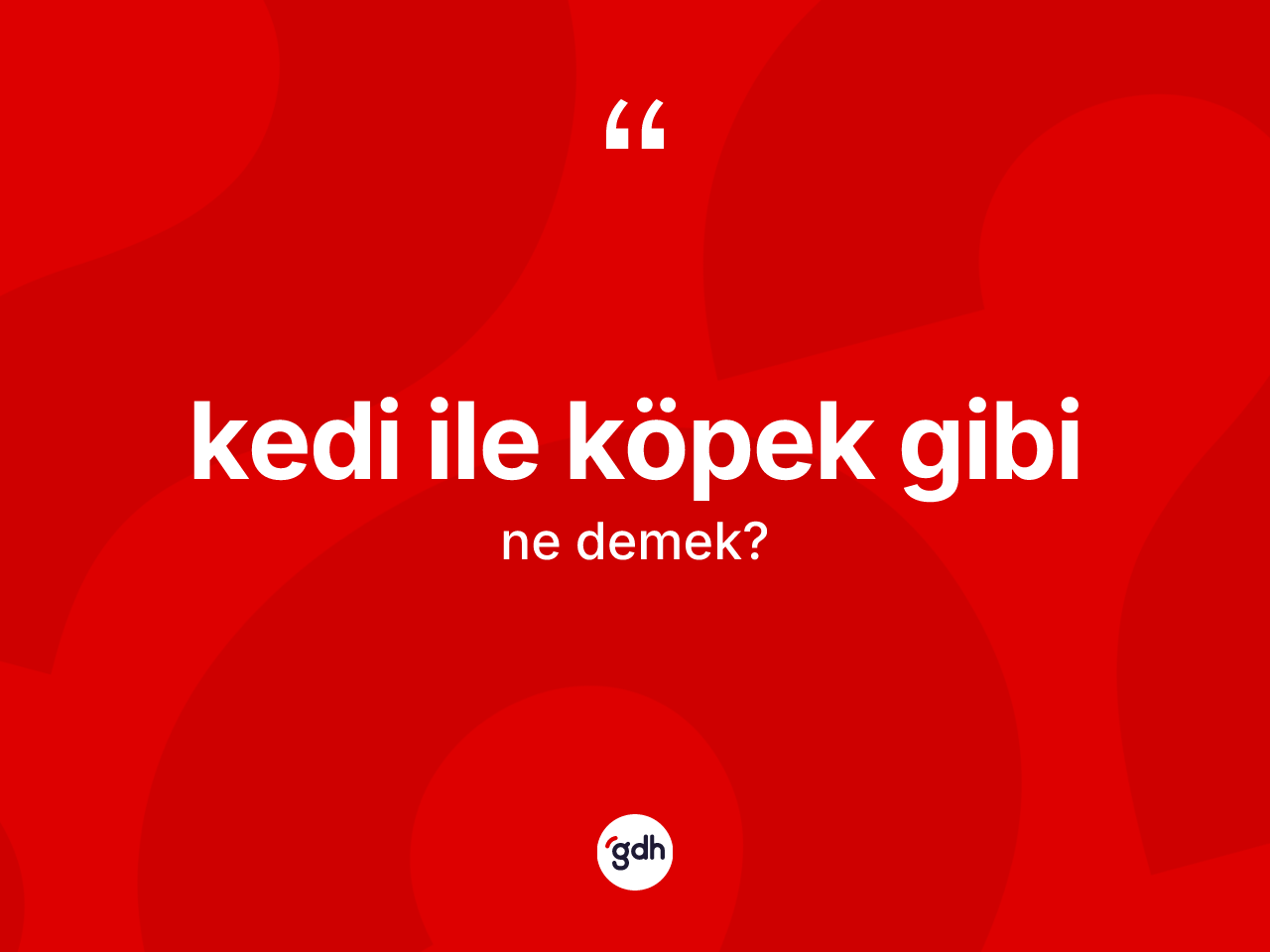 Kedi ile köpek gibi ne demektir? Kedi ile köpek gibi sözü nerede kullanılır?