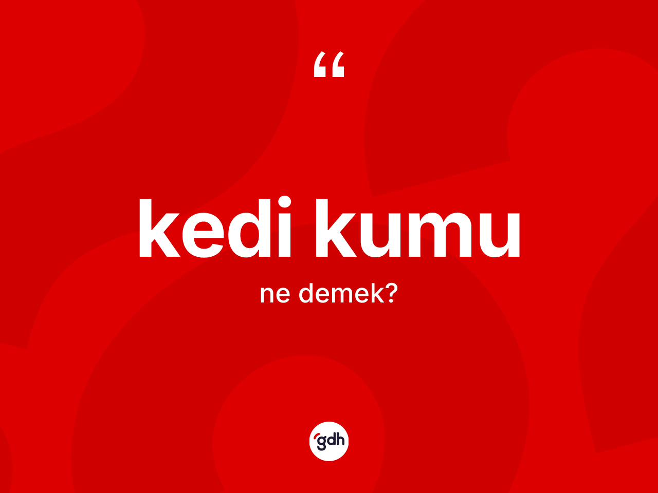 Kedi kumu  kelimesinin sözlükteki tanımı nedir? Kedi kumu un TDK'ya göre anlamı nedir?