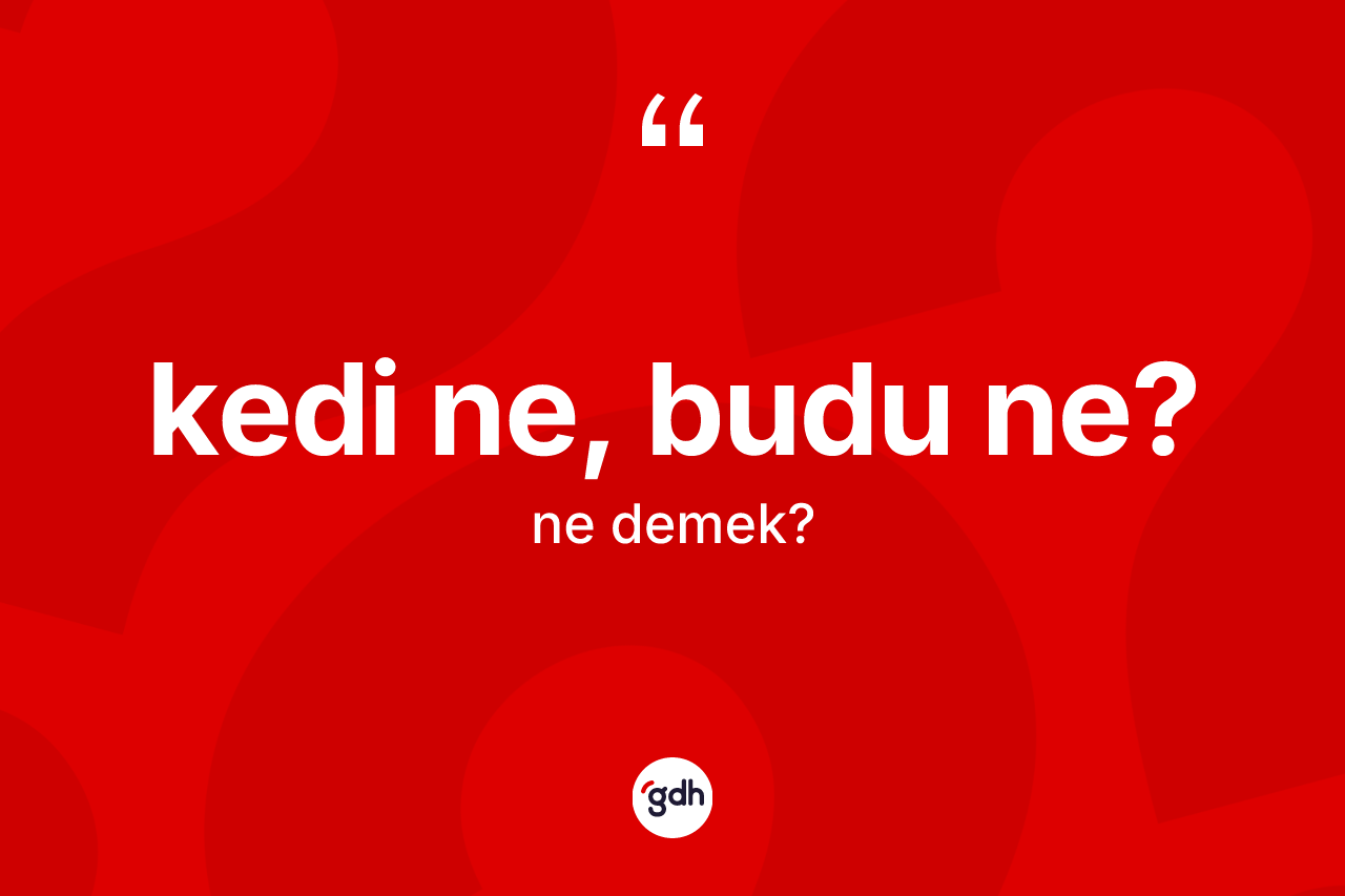 Kedi ne, budu ne?