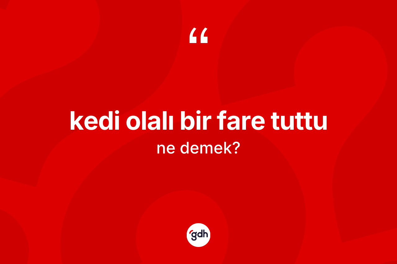 Kedi olalı bir fare tuttu sözü neyi anlatır?