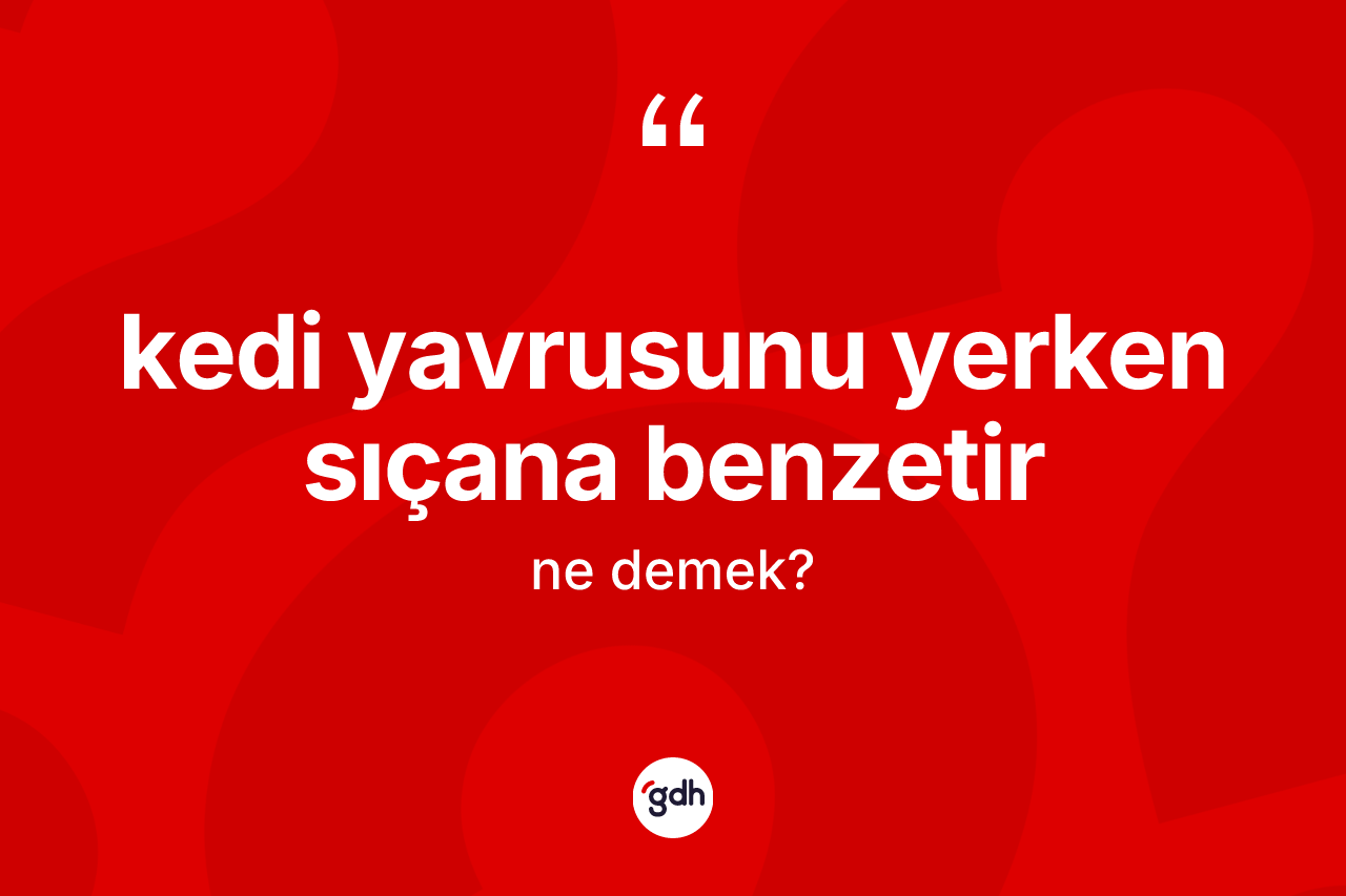 Kedi yavrusunu yerken sıçana benzetir ne demektir?