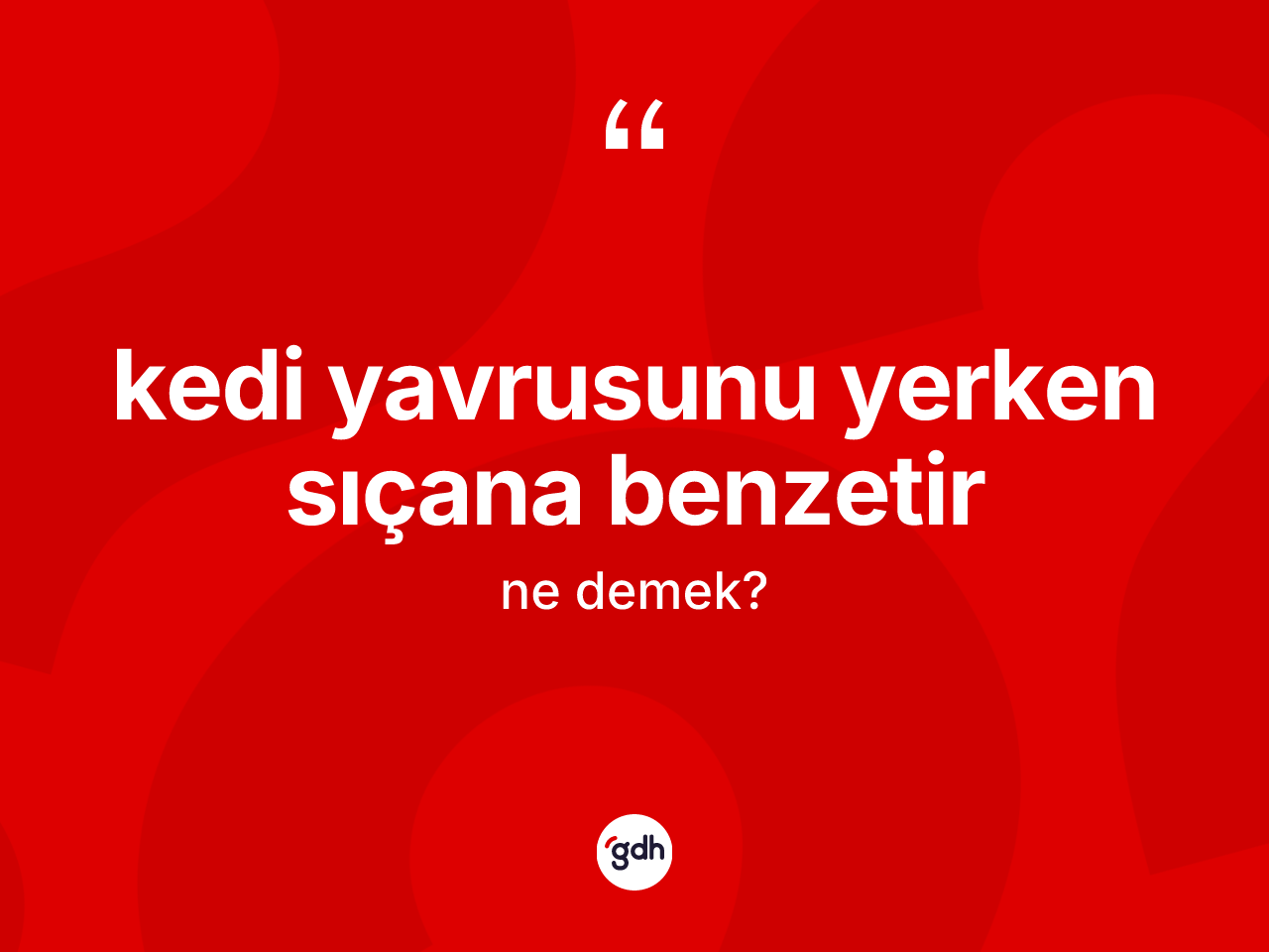 Kedi yavrusunu yerken sıçana benzetir ne demektir? Kedi yavrusunu yerken sıçana benzetir ifadesinin sözlük anlamı nedir?