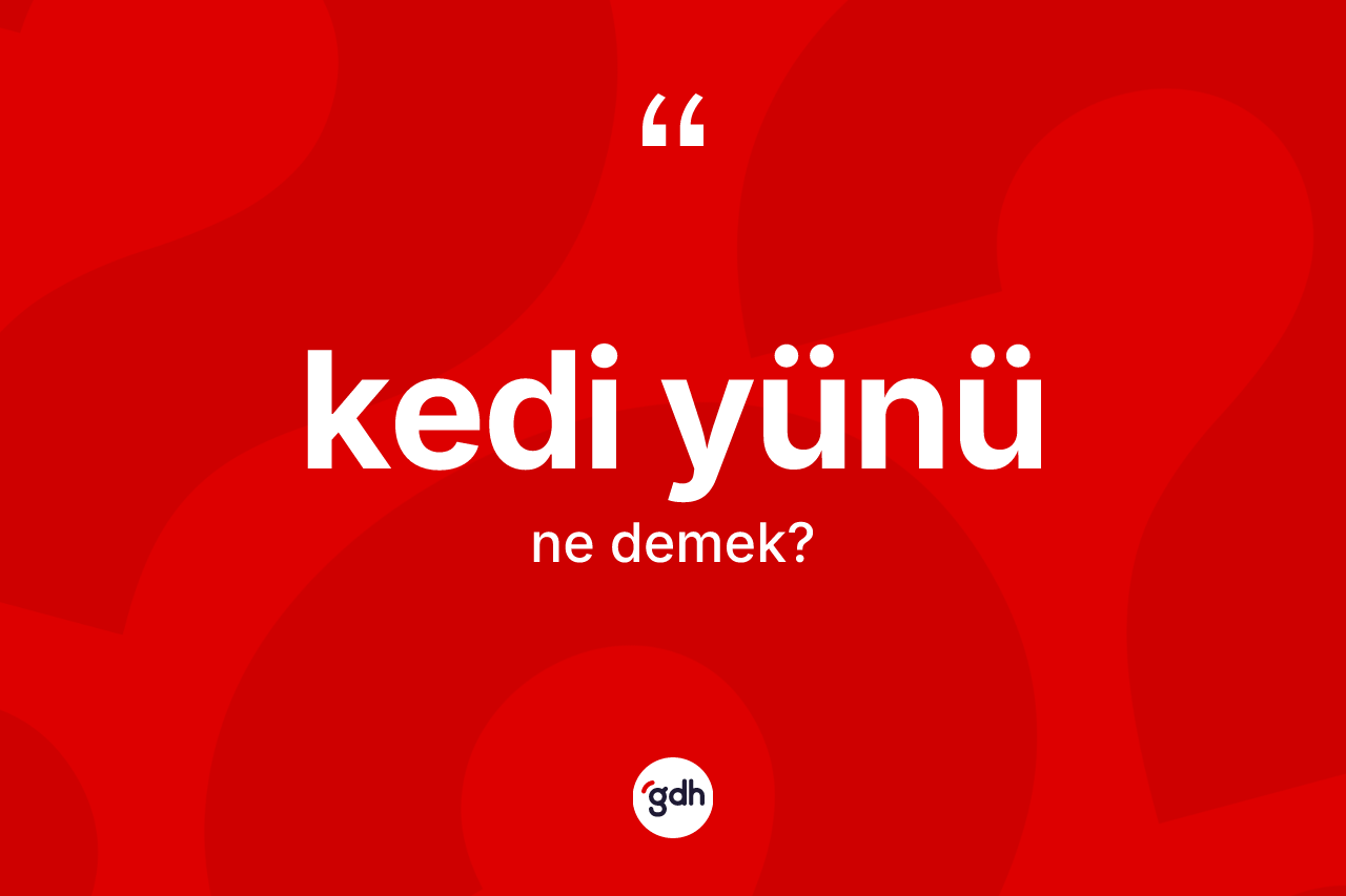 Kedi yünü  kelimesinin tanımı nedir? Kedi yünü  kelimesinin özellikleri nelerdir?