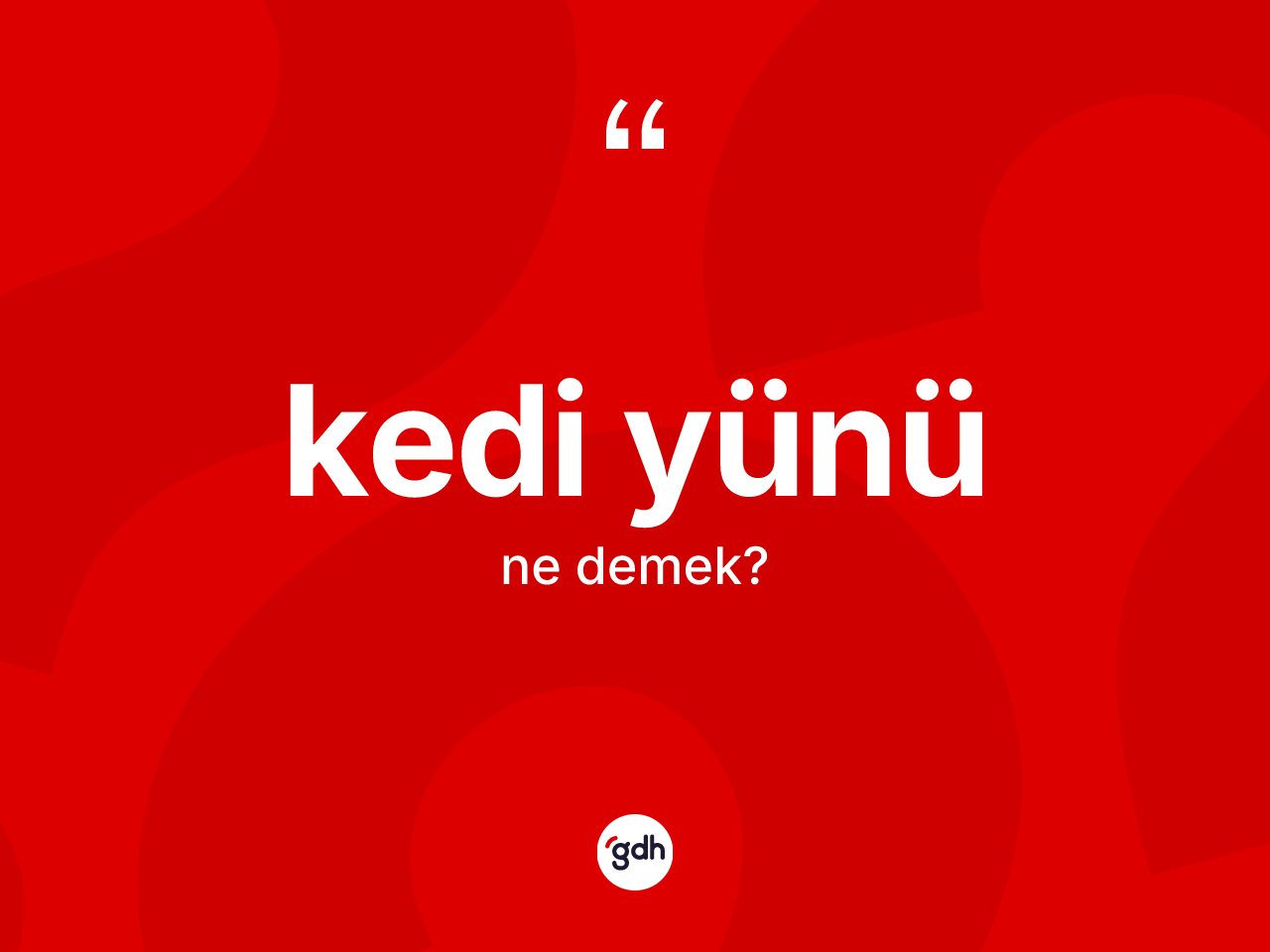 Kedi yünü  kelimesinin tanımı nedir? Kedi yünü  kelimesinin özellikleri nelerdir?
