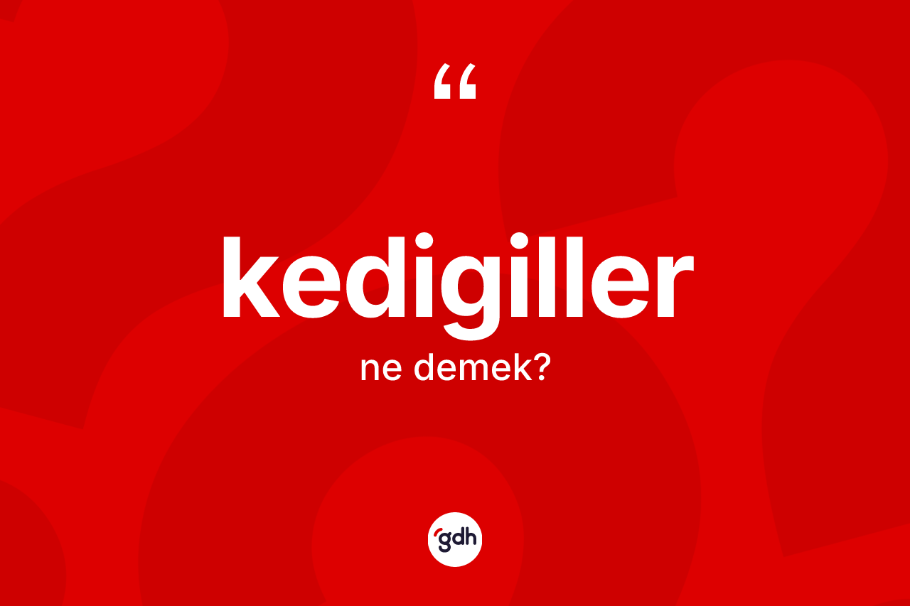 Kedigiller kelimesinin sözlükteki tanımı nedir?