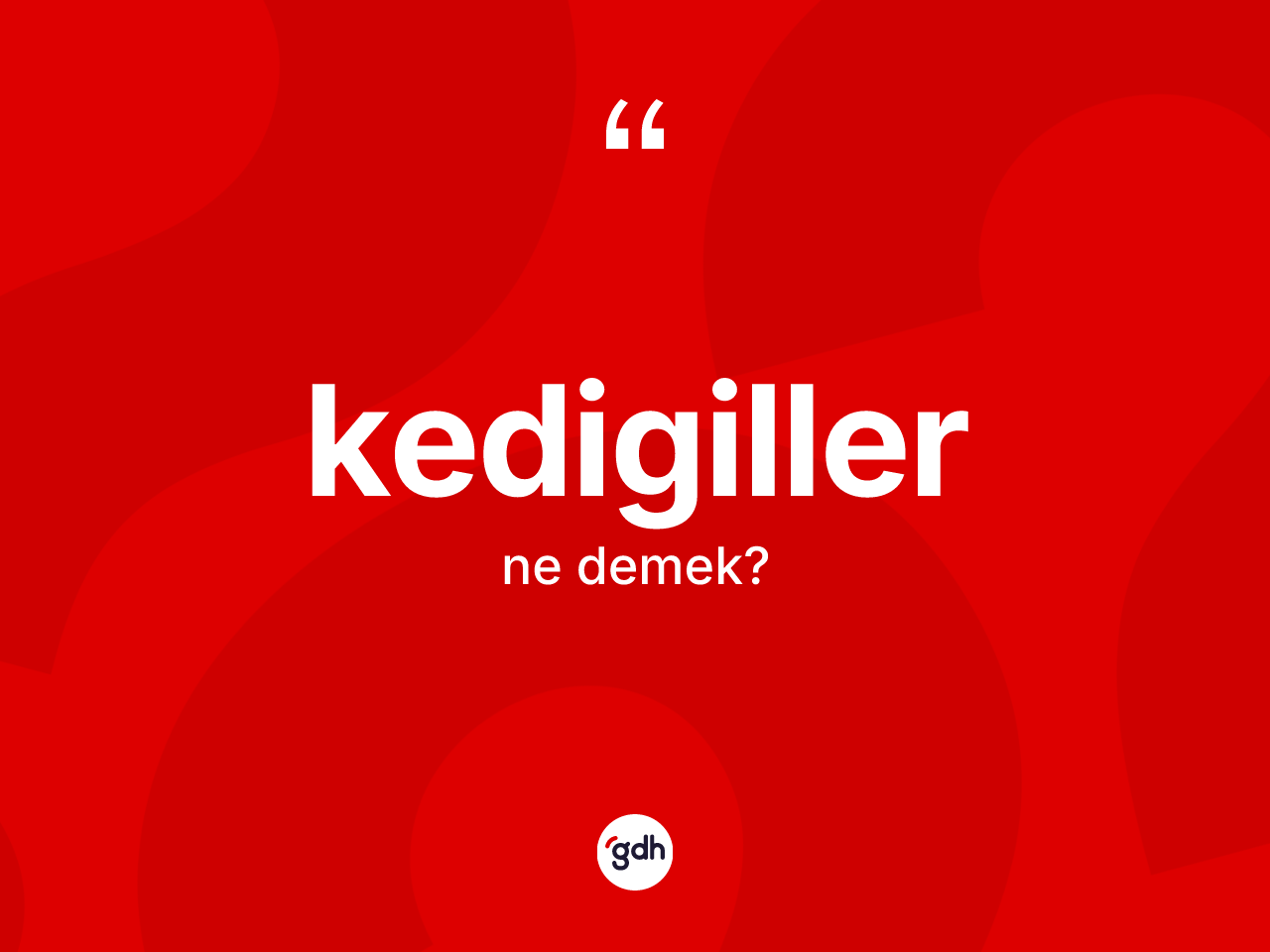 Kedigiller kelimesinin sözlükteki tanımı nedir? Kedigillerin halk arasındaki kullanımı nasıldır?