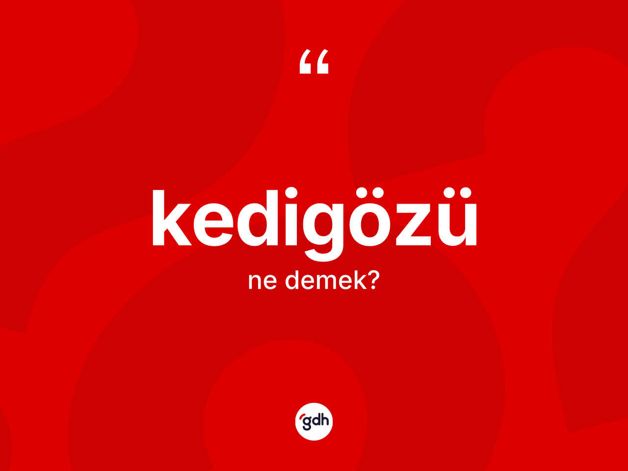 Kedigözü kelimesi ne demek? Kedigözünün sözlükteki anlamı nedir?