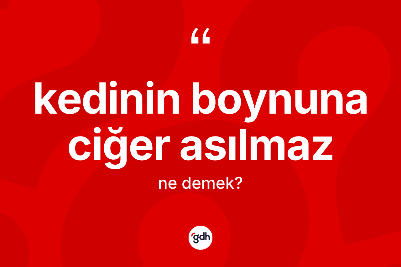 Kedinin boynuna ciğer asılmaz ne demek?