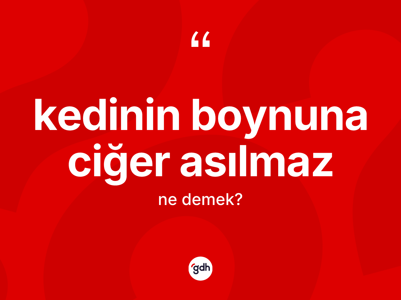 Kedinin boynuna ciğer asılmaz ne demek? Kedinin boynuna ciğer asılmaz ifadesi hangi durumlarda kullanılır