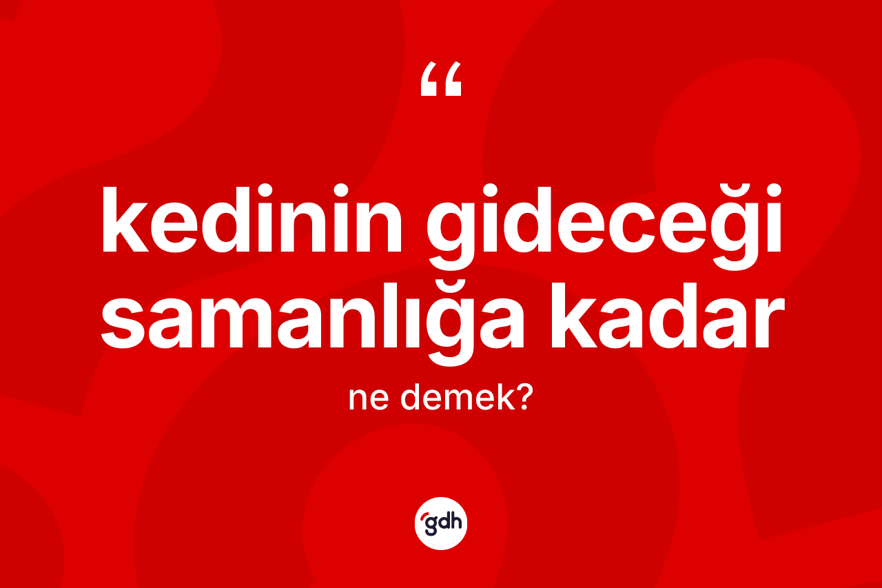Kedinin gideceği samanlığa kadar ne demektir?