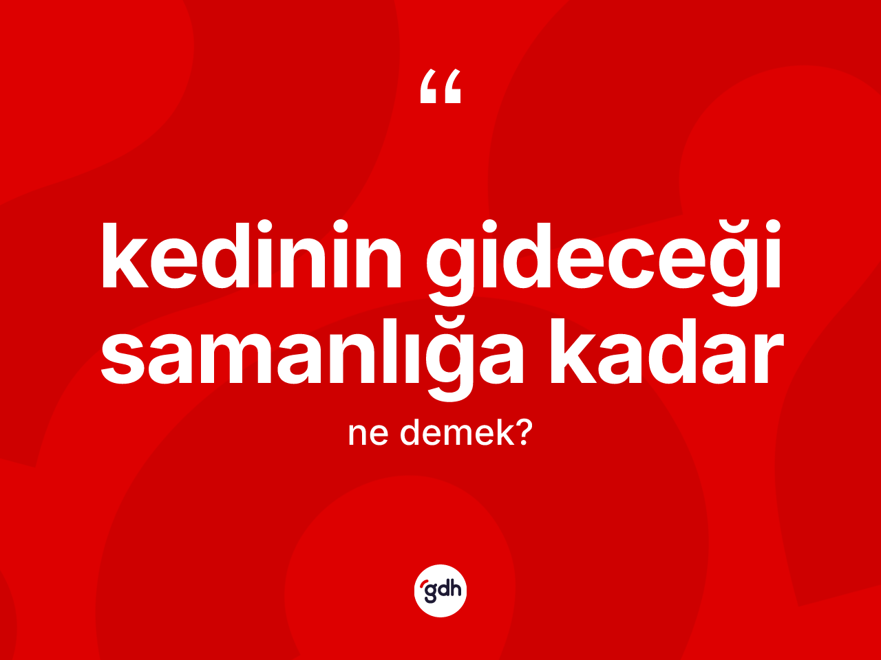 Kedinin gideceği samanlığa kadar ne demektir? Kedinin gideceği samanlığa kadar sözünün TDK açıklaması nedir?