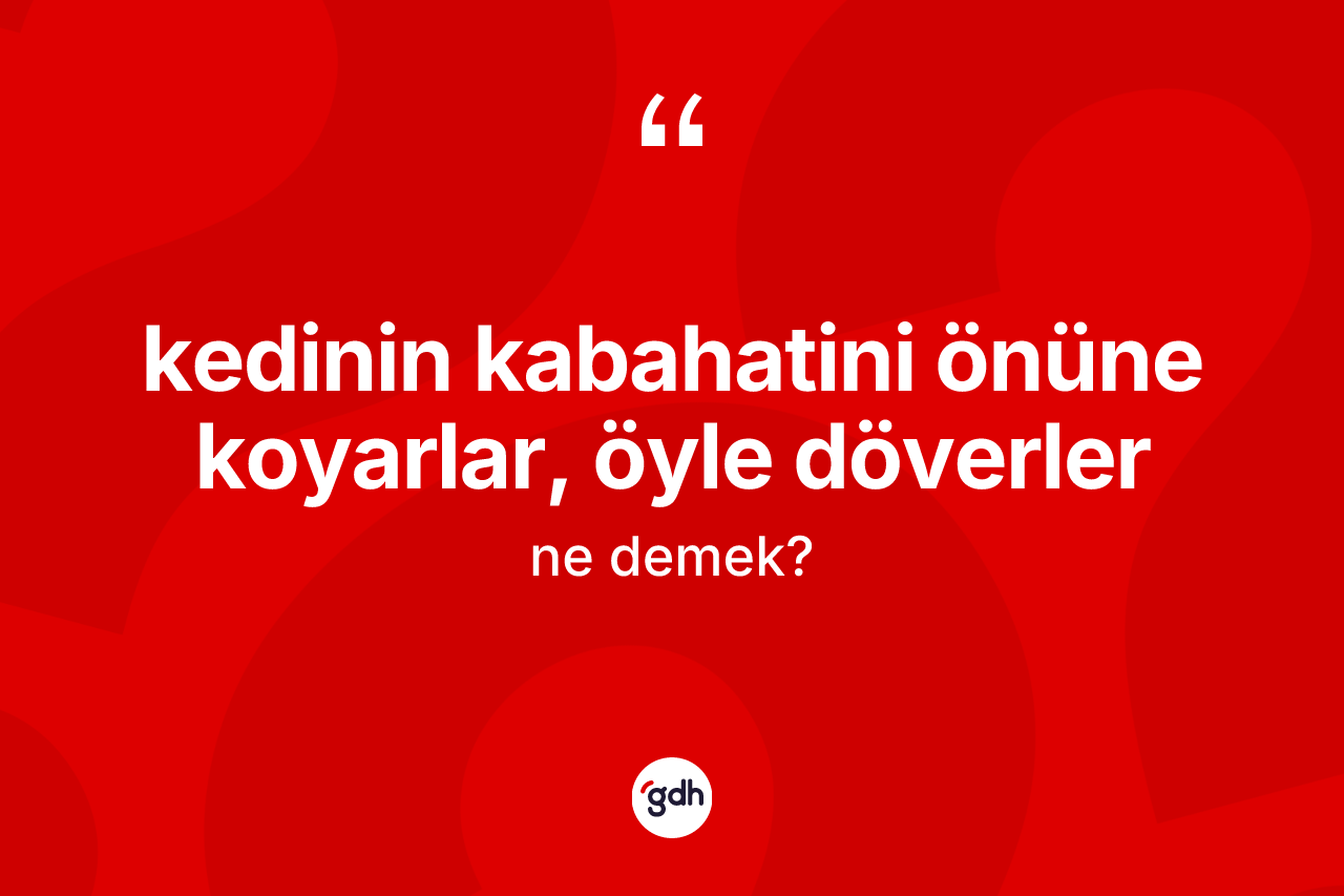 Kedinin kabahatini önüne koyarlar, öyle döverler ifadesi ne demektir?