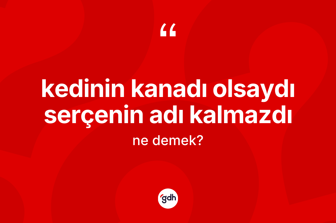 Kedinin kanadı olsaydı serçenin adı kalmazdı ifadesinin anlamı nedir?