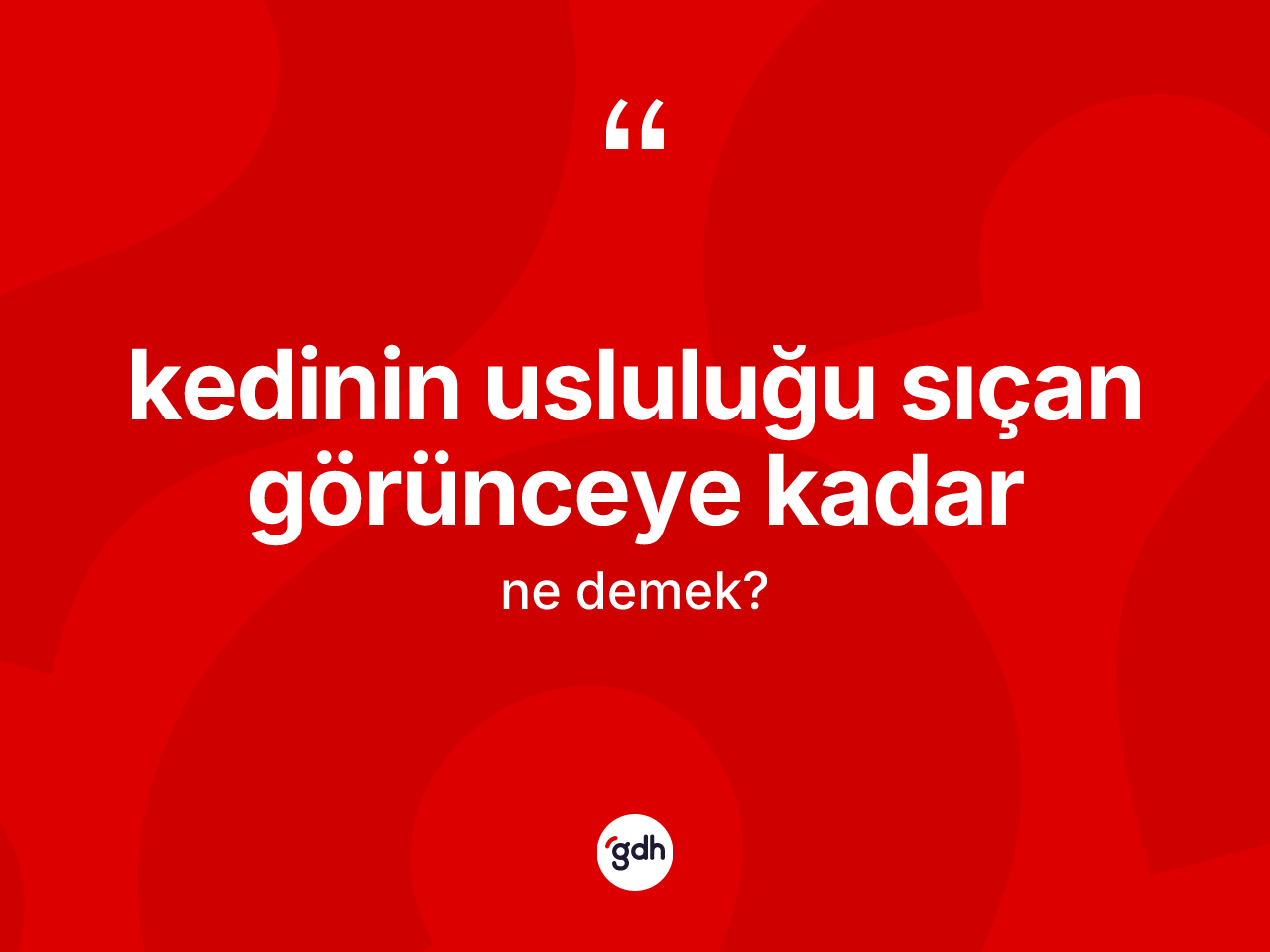 Kedinin usluluğu sıçan görünceye kadar ifadesinin tanımı nedir? Kedinin usluluğu sıçan görünceye kadar ifadesi nerede kullanılır?