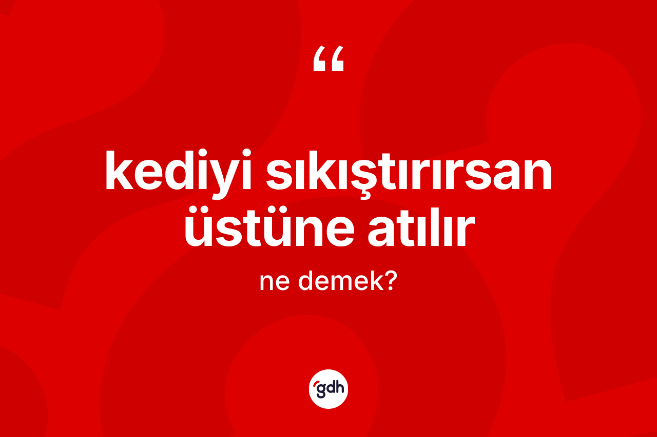 Kediyi sıkıştırırsan üstüne atılır ifadesinin sözlükteki anlamı nedir?