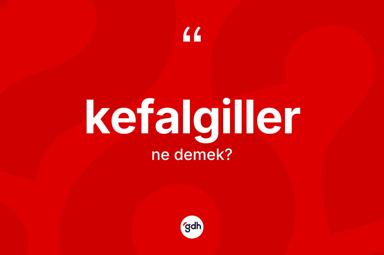 Kefalgiller kelimesi nedir? Kefalgiller kelimesinin TDK anlamı nedir?