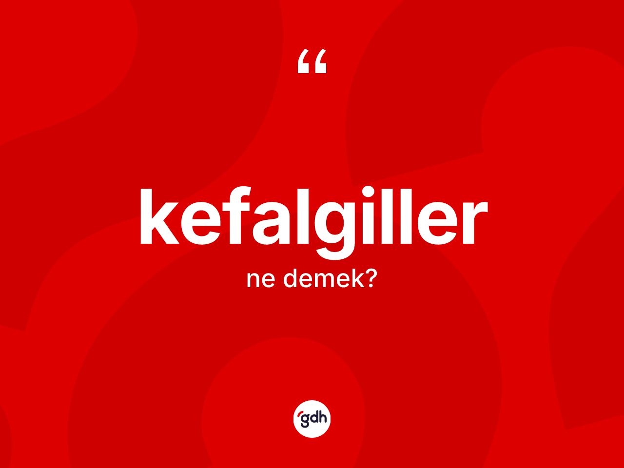 Kefalgiller kelimesi nedir? Kefalgiller kelimesinin TDK anlamı nedir?
