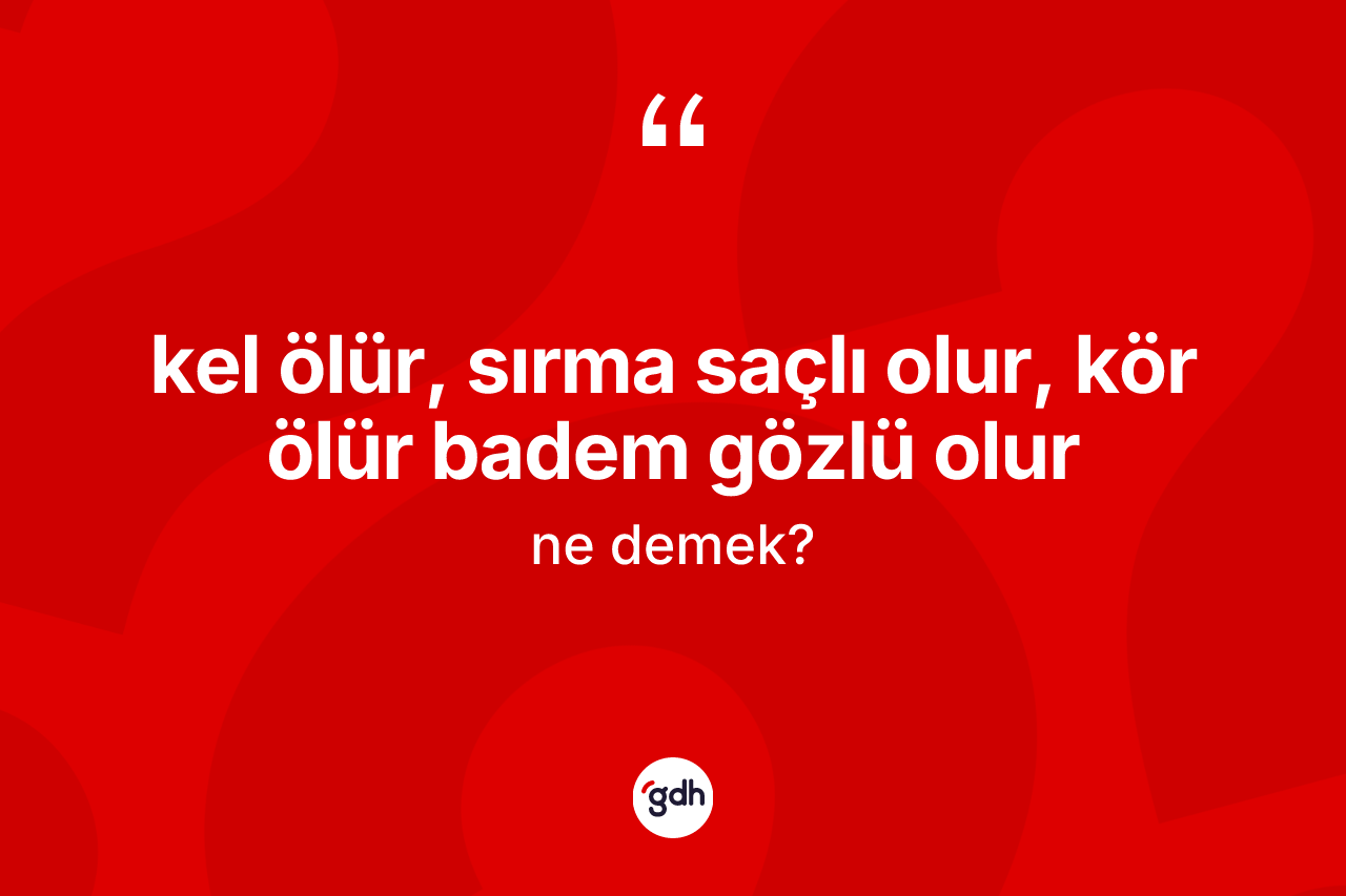 Kel ölür, sırma saçlı olur, kör ölür badem gözlü olur sözü nedir? Kel ölür, sırma saçlı olur, kör ölür badem gözlü olur ifadesi nerede kullanılır?