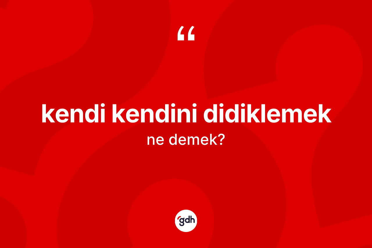 Kendi kendini didiklemek ifadesinin anlamı nedir?