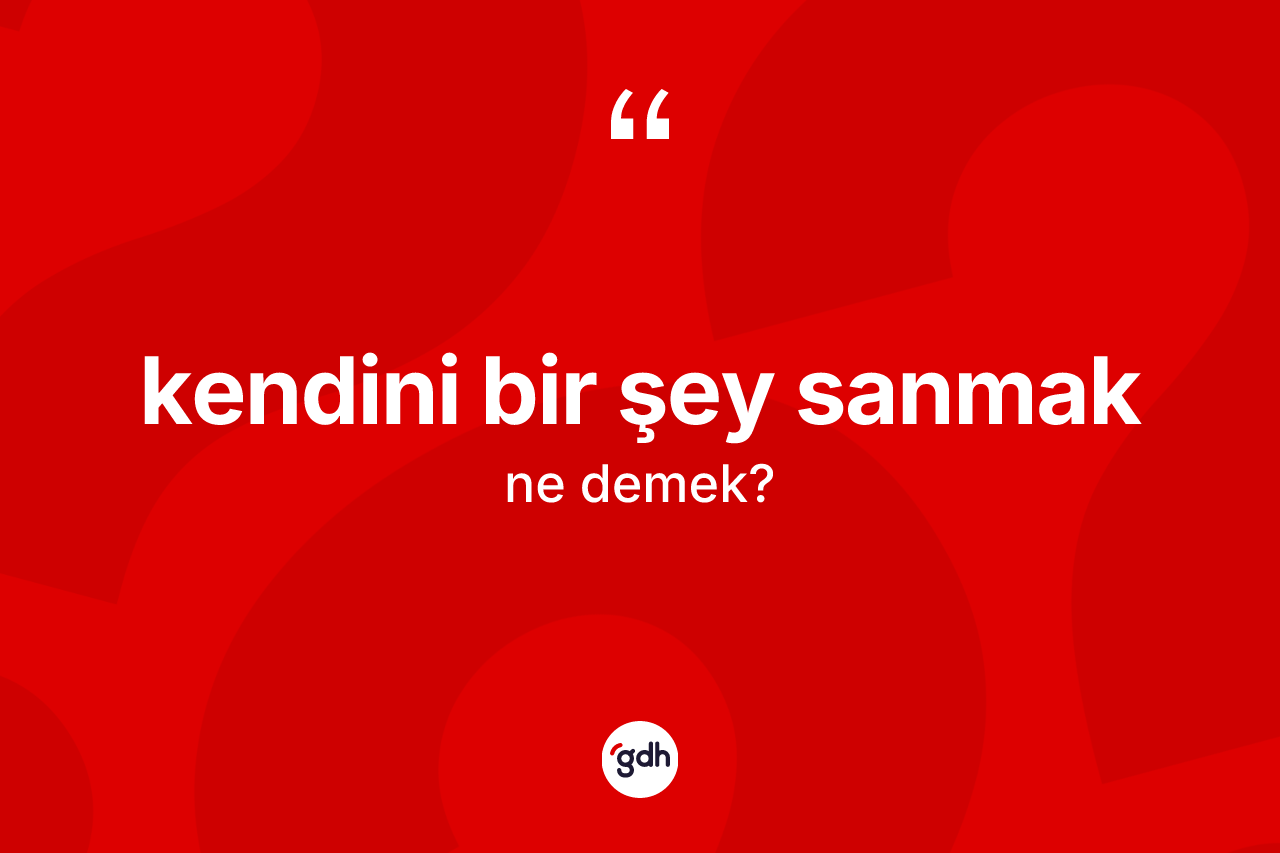 Kendini bir şey sanmak ifadesi ne demek? Kendini bir şey sanmak ifadesi hangi durumlarda kullanılır?
