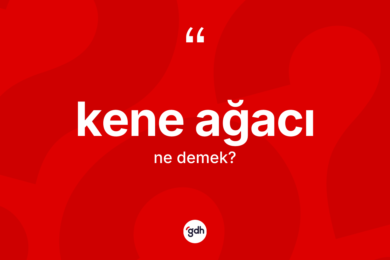 Kene ağacı kelimesinin sözlükteki tanımı nedir? Kene ağacının TDK'ya göre anlamı nedir?